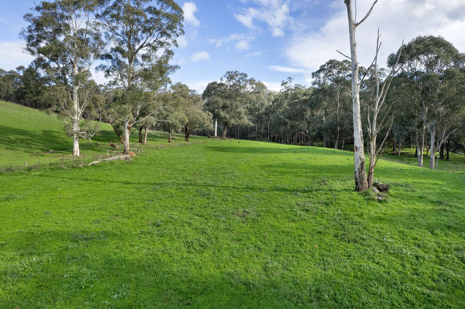 Lot 2 Georges Creek Road, Georges Creek For Sale by Farmbuy.com - image 9