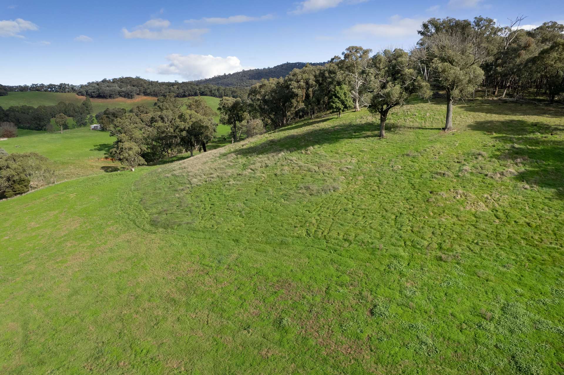 Lot 2 Georges Creek Road, Georges Creek For Sale by Farmbuy.com - image 4