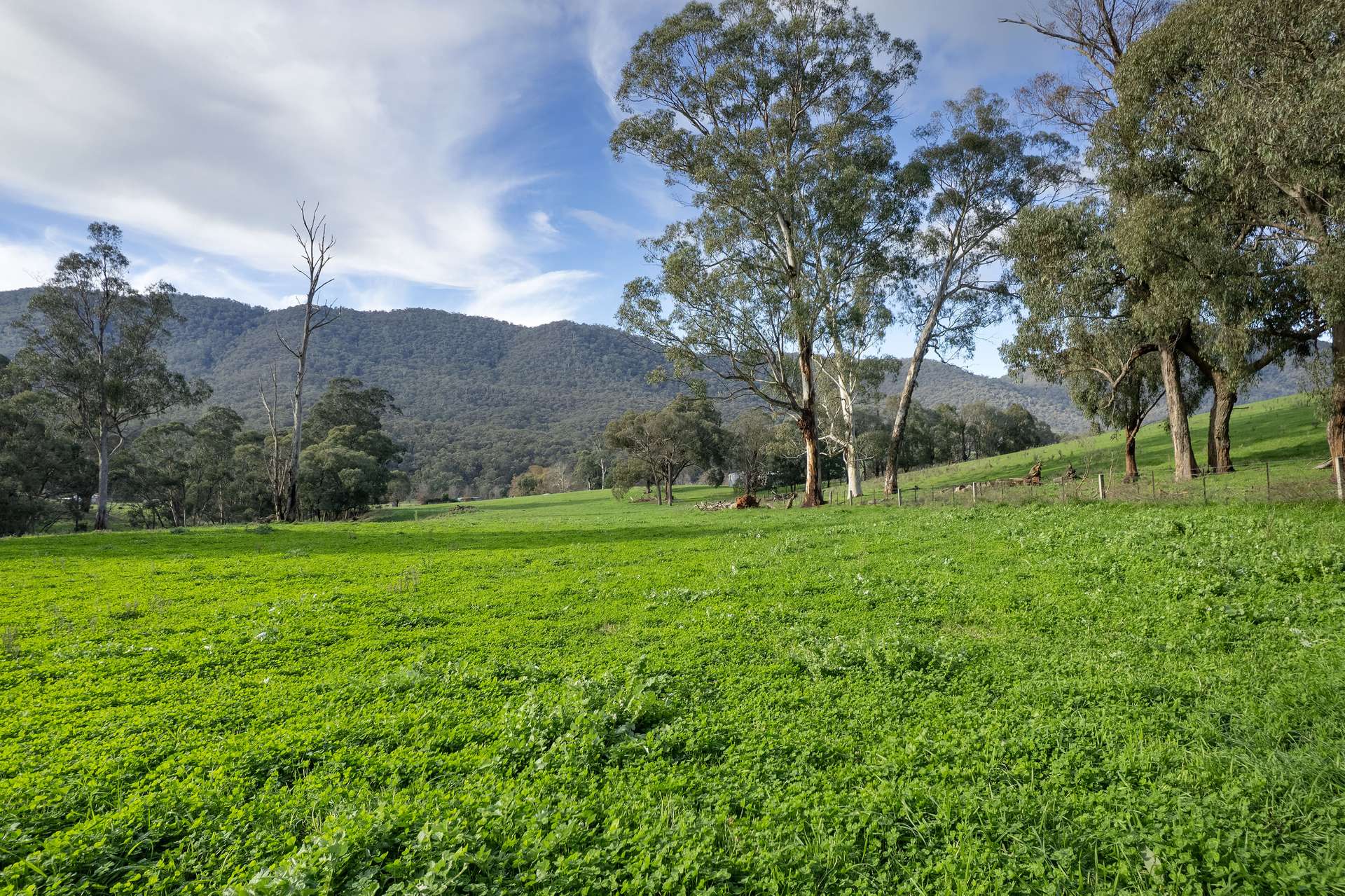 Lot 2 Georges Creek Road, Georges Creek For Sale by Farmbuy.com - image 11