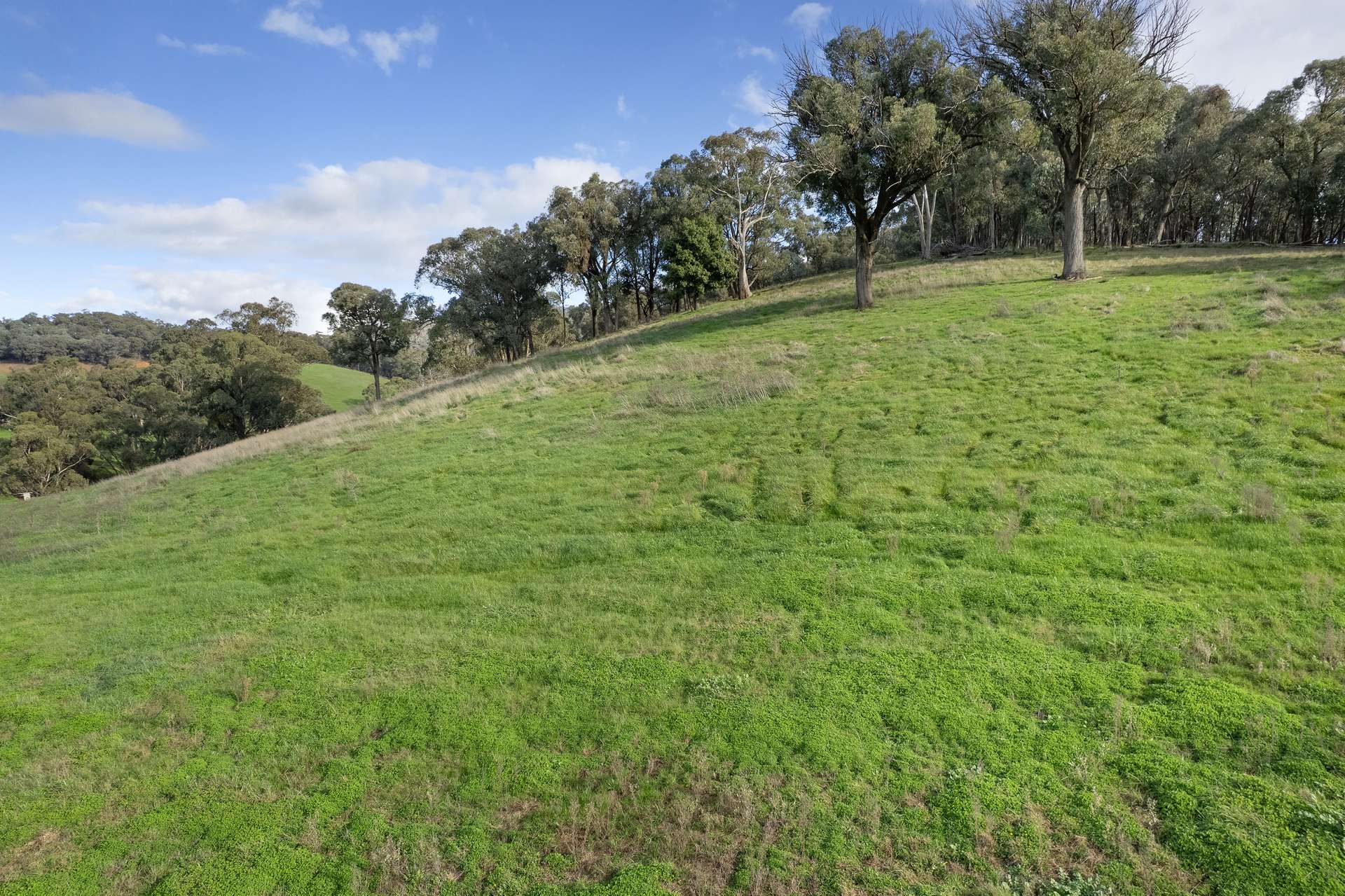 Lot 2 Georges Creek Road, Georges Creek For Sale by Farmbuy.com - image 15