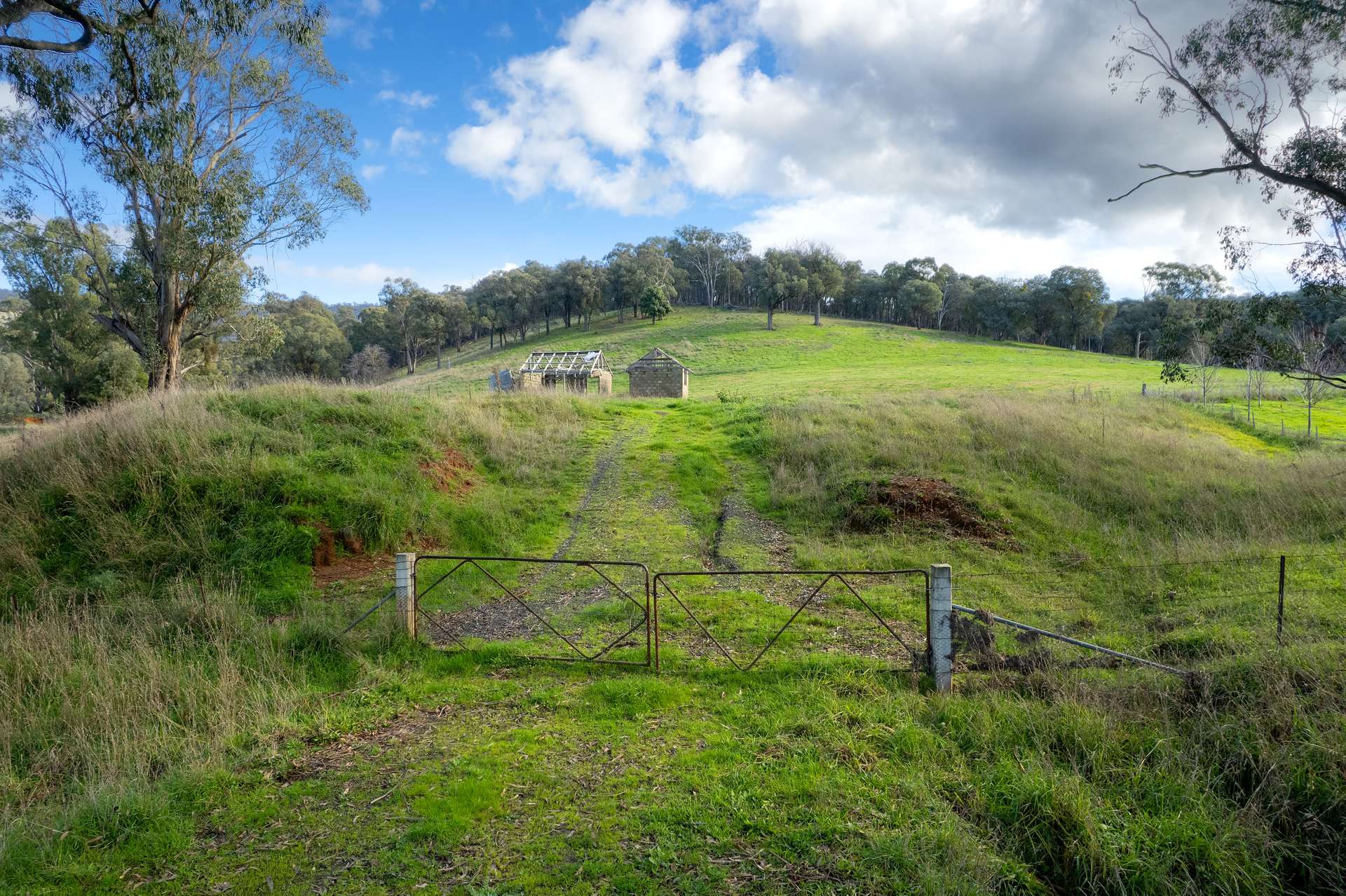 Lot 2 Georges Creek Road, Georges Creek For Sale by Farmbuy.com - image 2