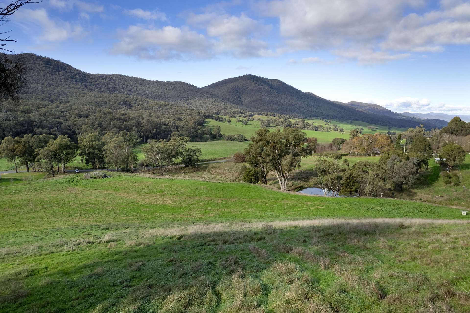 Lot 2 Georges Creek Road, Georges Creek For Sale by Farmbuy.com - image 7