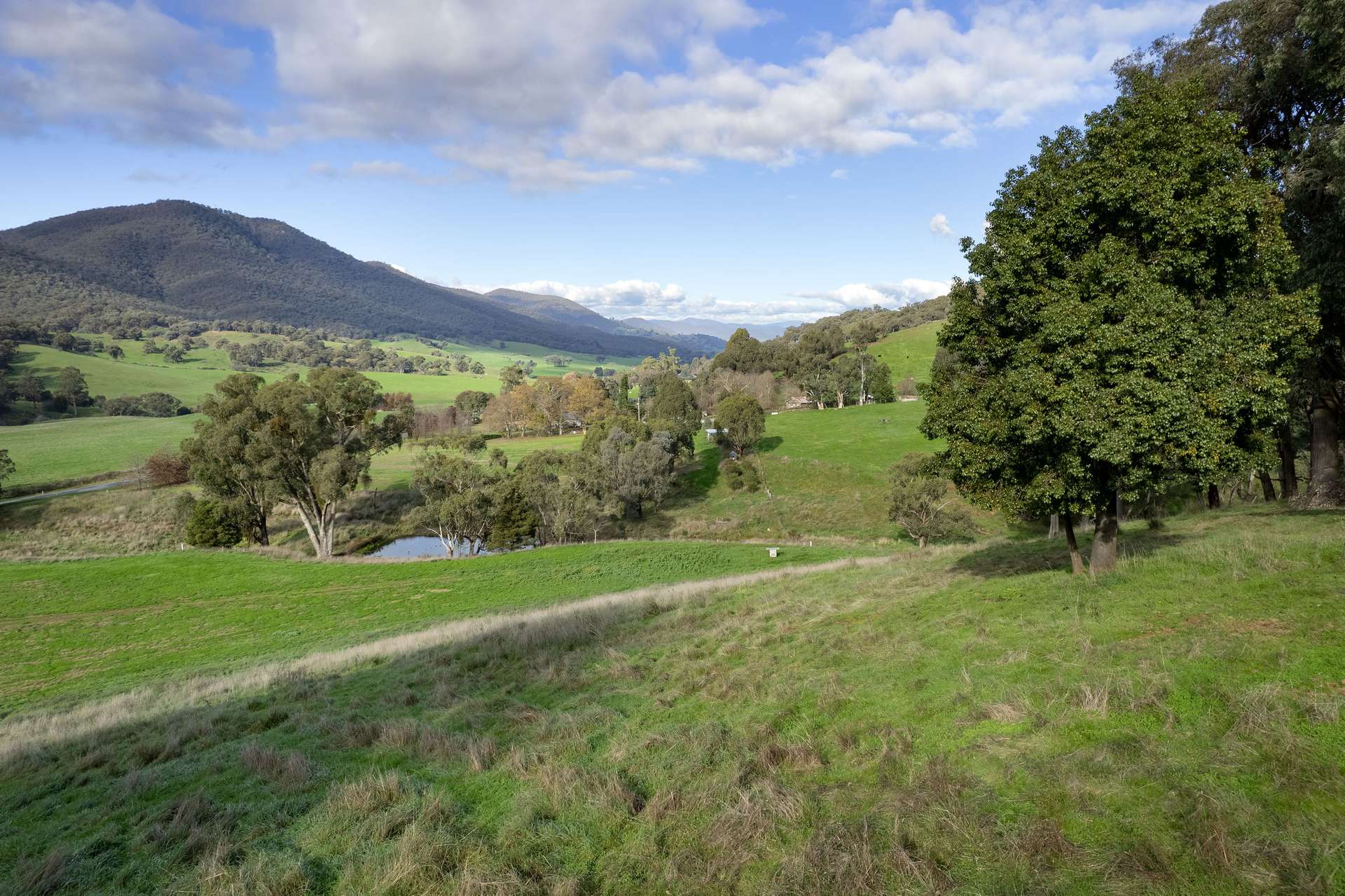 Lot 2 Georges Creek Road, Georges Creek For Sale by Farmbuy.com - image 8