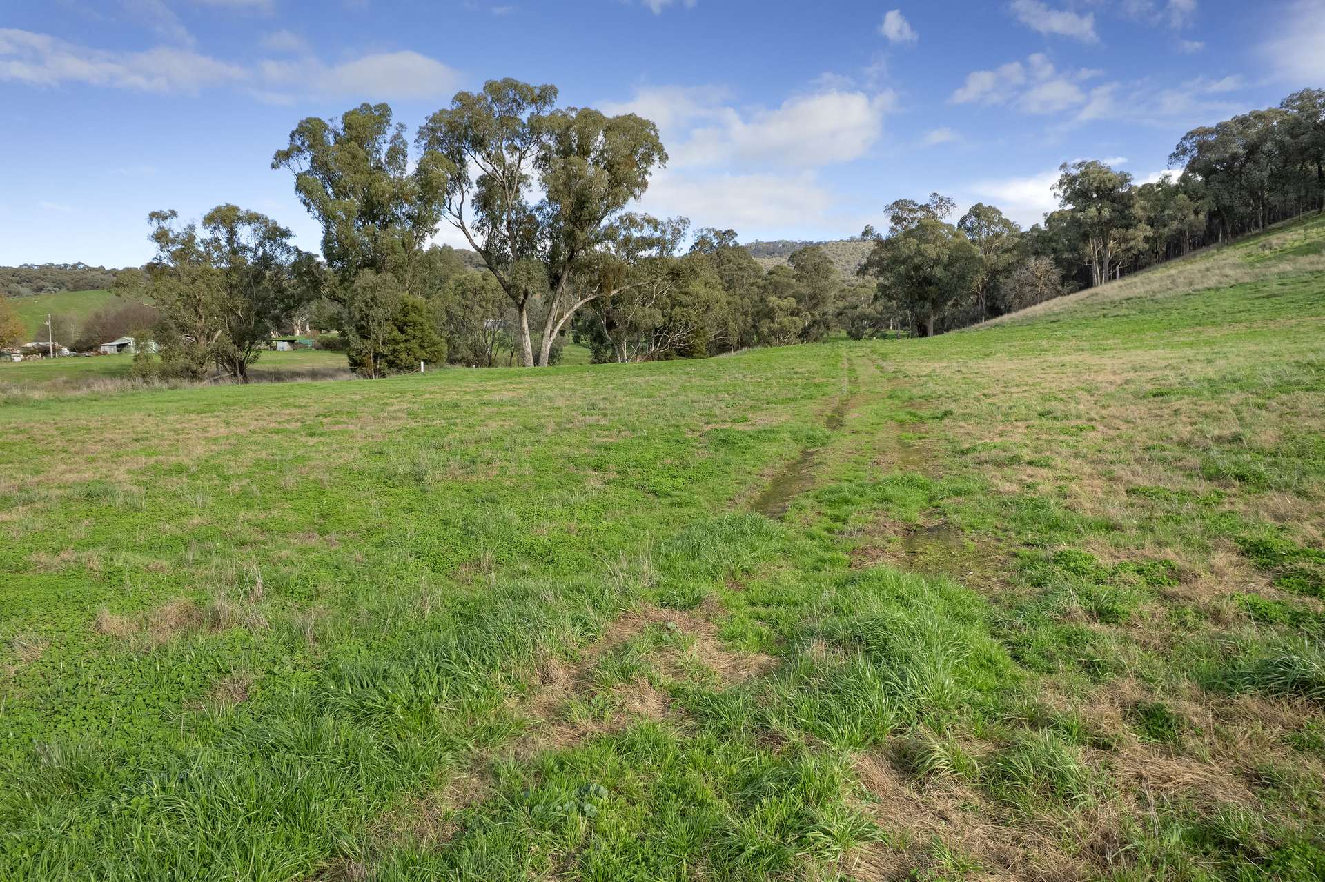 Lot 2 Georges Creek Road, Georges Creek For Sale by Farmbuy.com - image 13