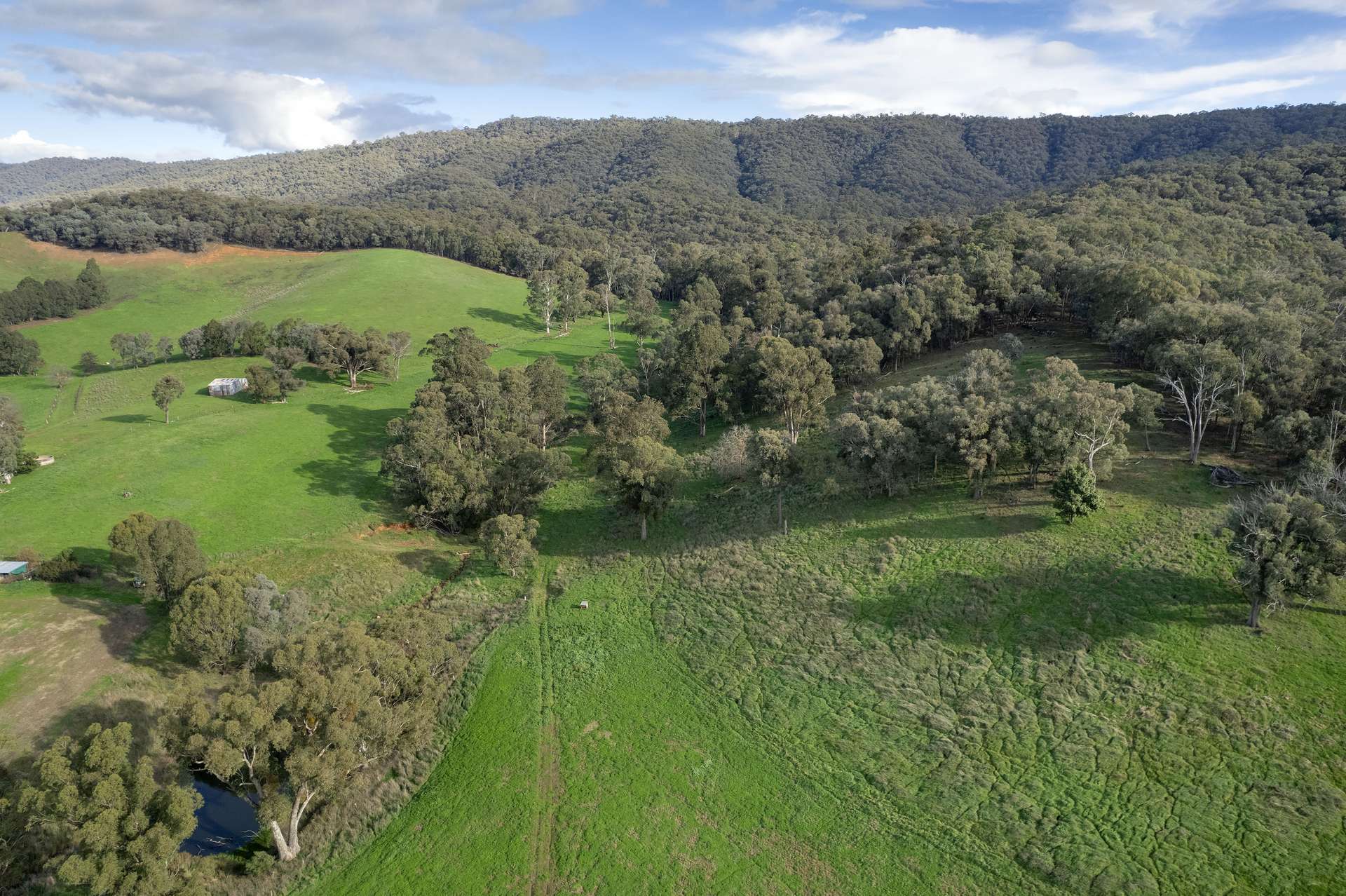 Lot 2 Georges Creek Road, Georges Creek For Sale by Farmbuy.com - image 16