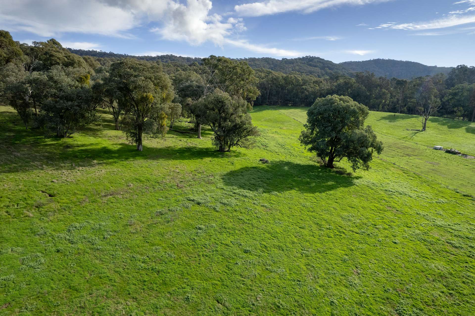 Lot 2 Georges Creek Road, Georges Creek For Sale by Farmbuy.com - image 3