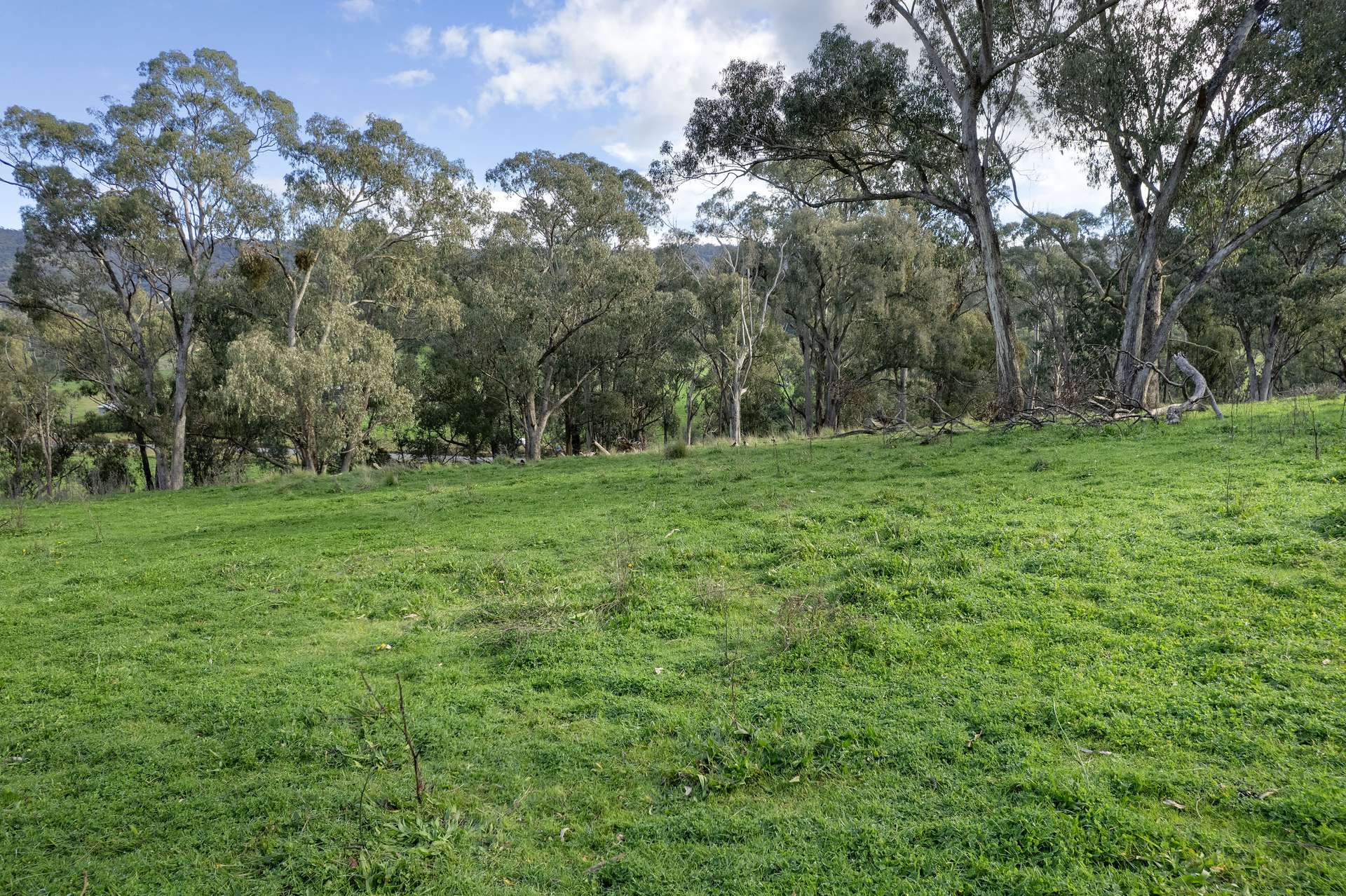 Lots 1, 5, 6, 7 Georges Creek Road, Georges Creek For Sale by Farmbuy.com - image 7