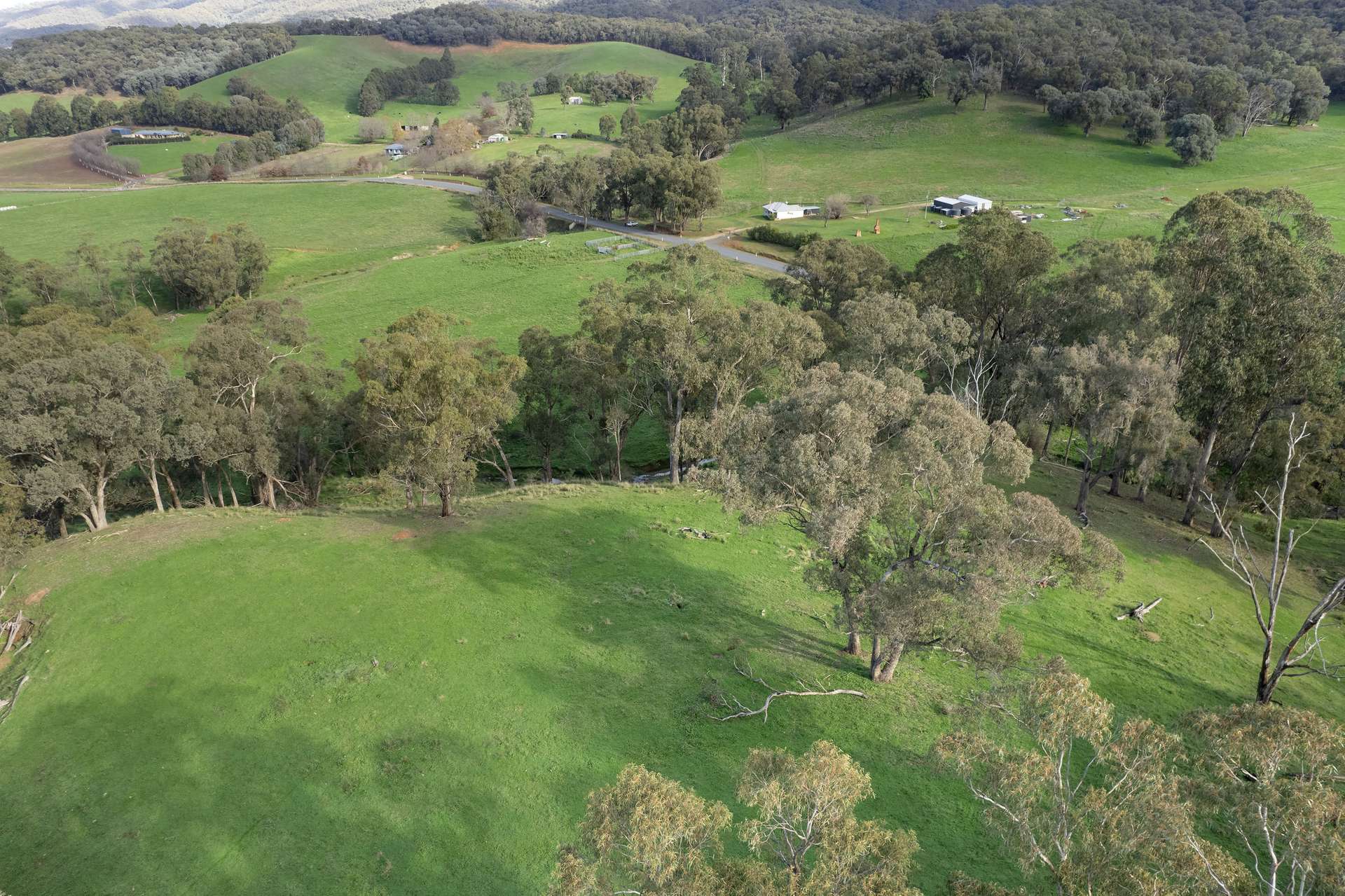 Lots 1, 5, 6, 7 Georges Creek Road, Georges Creek For Sale by Farmbuy.com - image 6