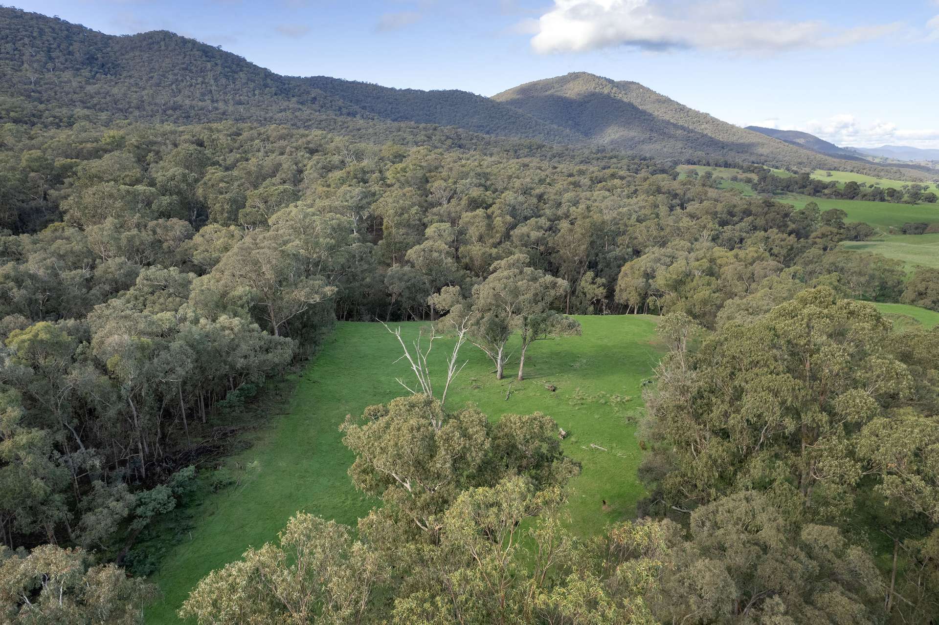 Lots 1, 5, 6, 7 Georges Creek Road, Georges Creek For Sale by Farmbuy.com - image 5