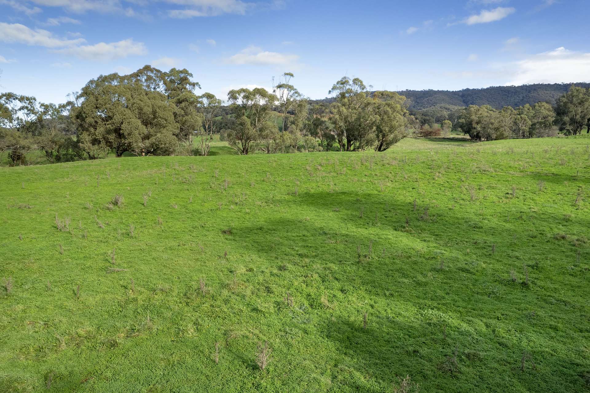 Lots 1, 5, 6, 7 Georges Creek Road, Georges Creek For Sale by Farmbuy.com - image 14