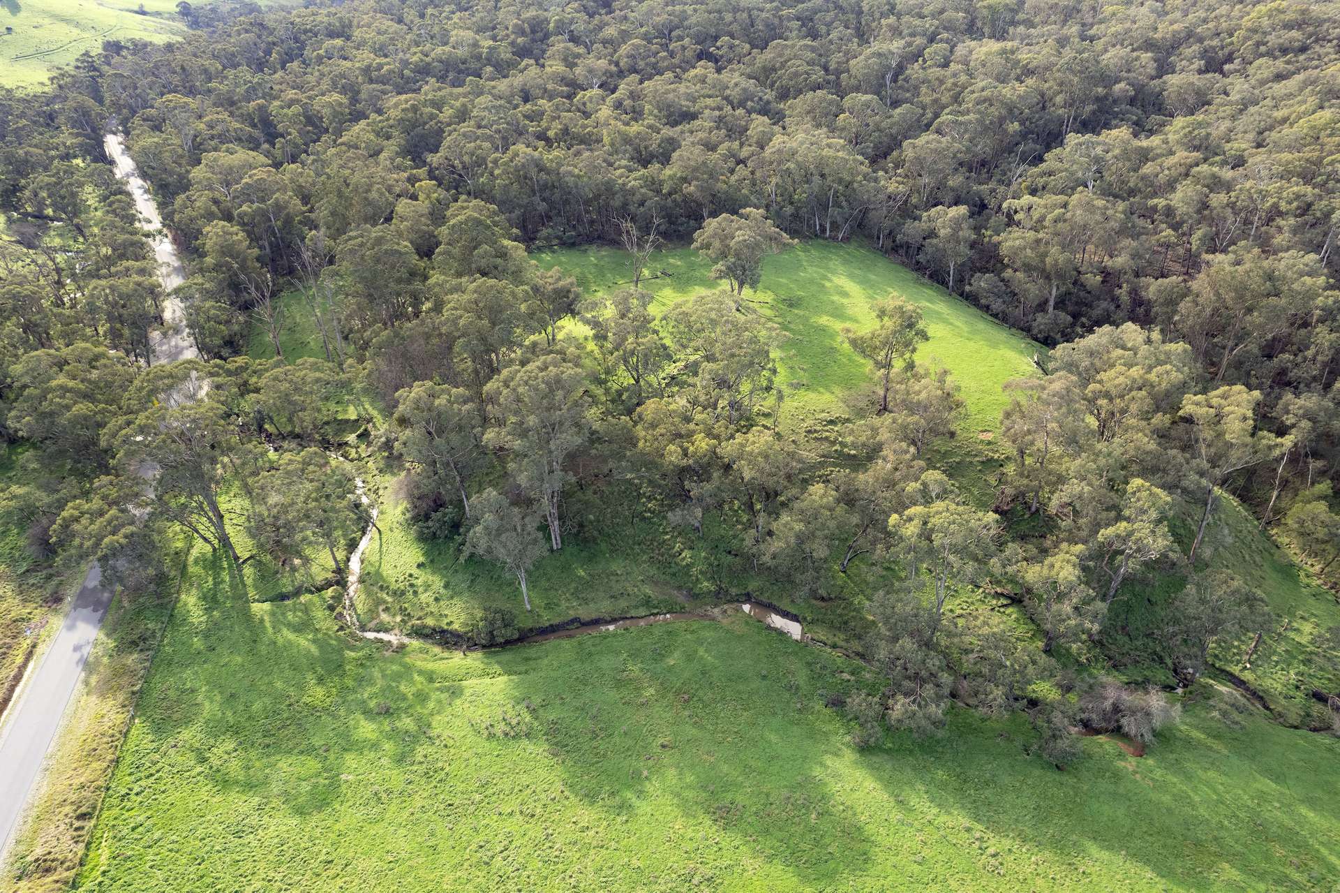 Lots 1, 5, 6, 7 Georges Creek Road, Georges Creek For Sale by Farmbuy.com - image 12