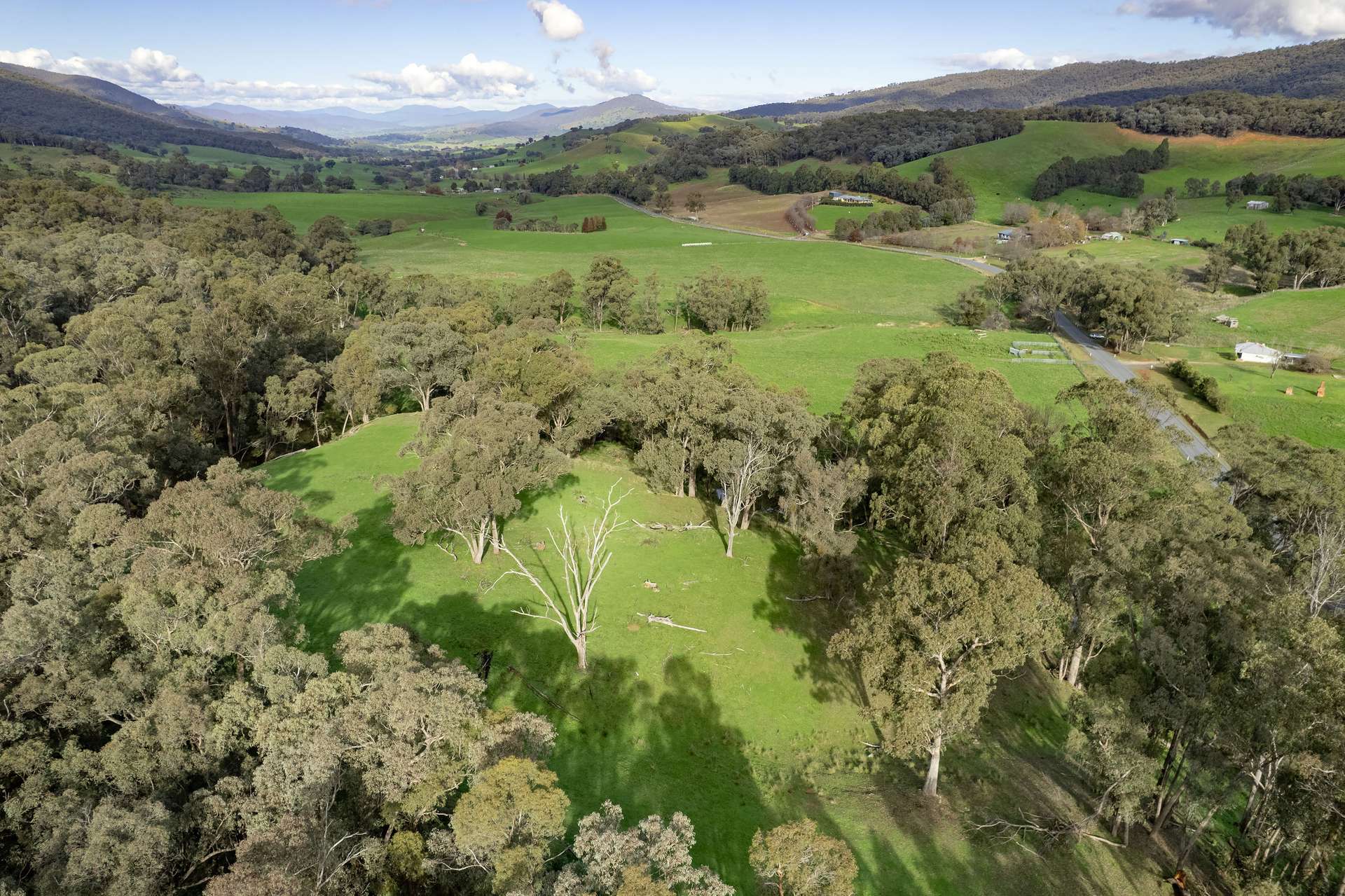 Lots 1, 5, 6, 7 Georges Creek Road, Georges Creek For Sale by Farmbuy.com - image 11