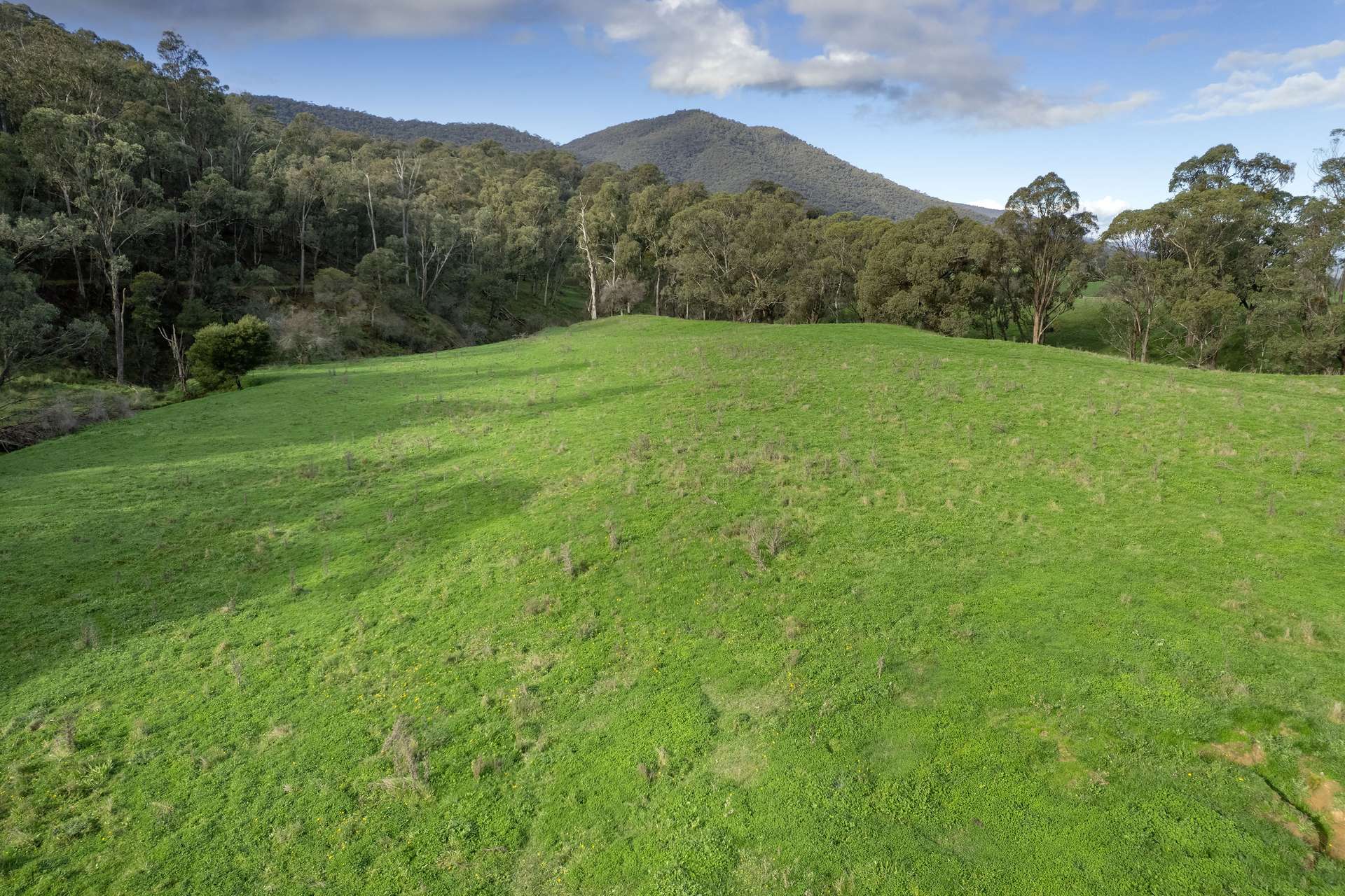 Lots 1, 5, 6, 7 Georges Creek Road, Georges Creek For Sale by Farmbuy.com - image 15