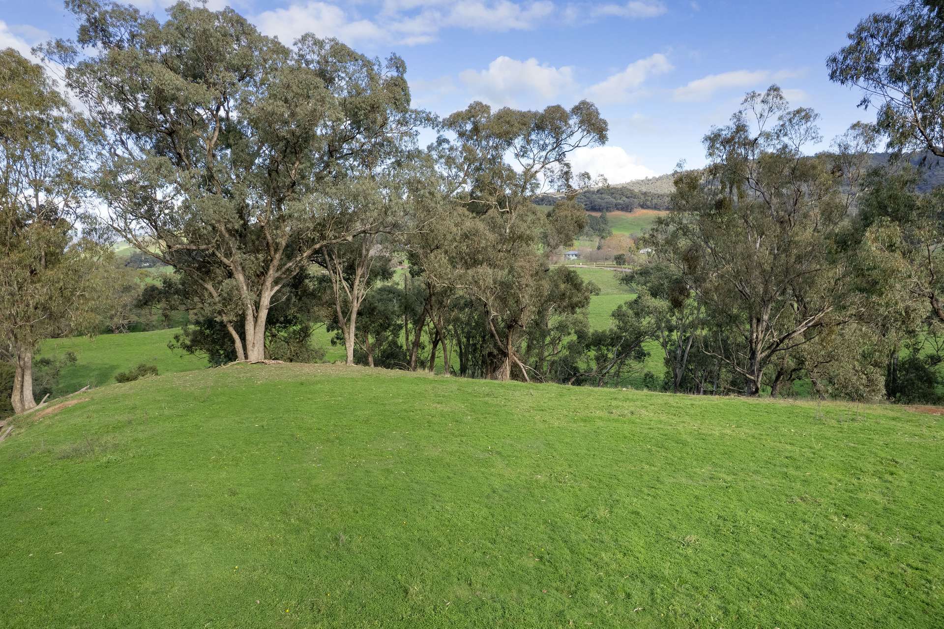 Lots 1, 5, 6, 7 Georges Creek Road, Georges Creek For Sale by Farmbuy.com - image 8