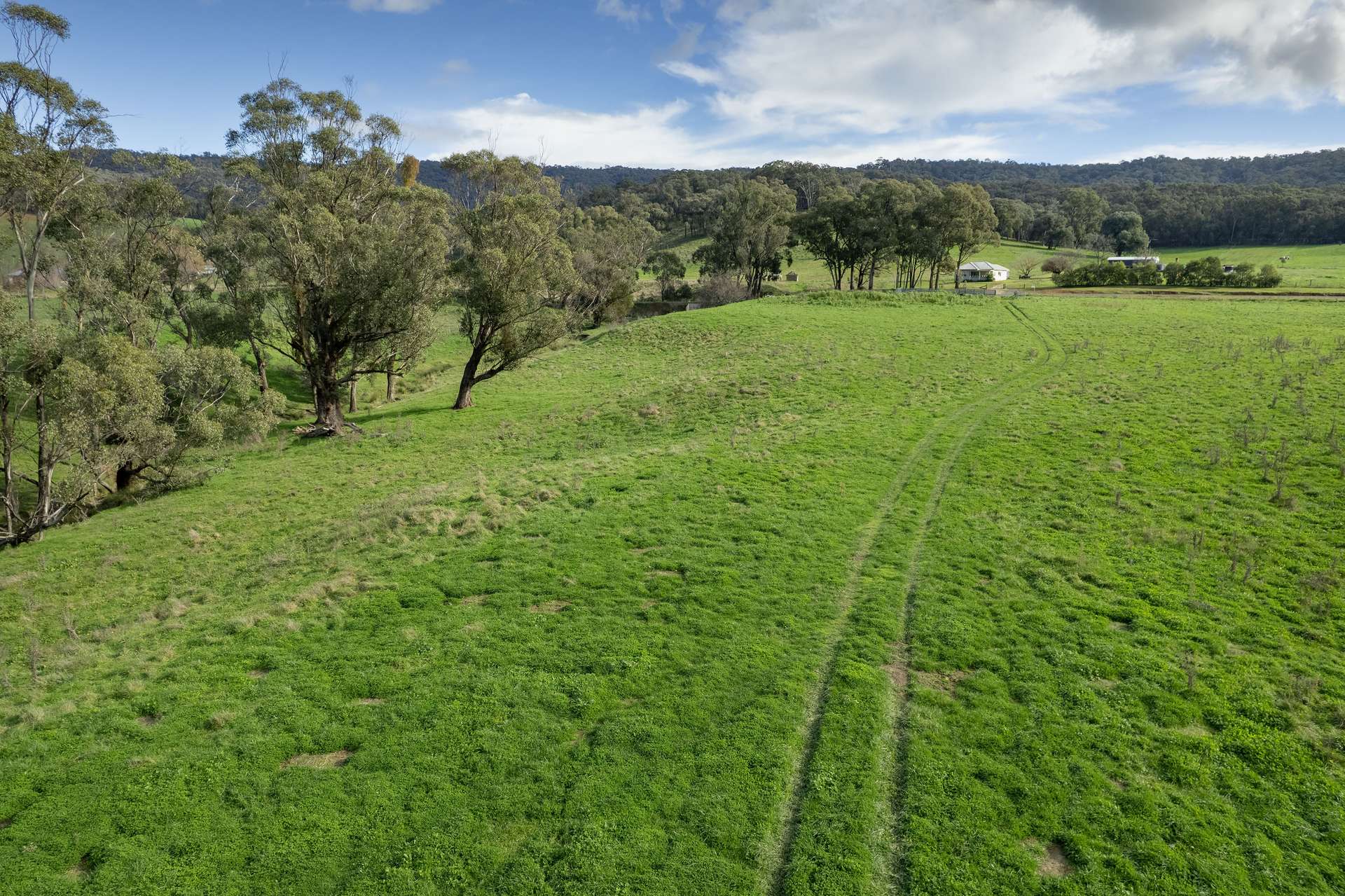 Lots 1, 5, 6, 7 Georges Creek Road, Georges Creek For Sale by Farmbuy.com - image 16