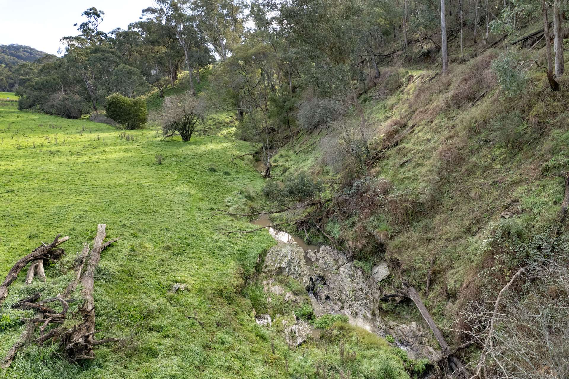 Lots 1, 5, 6, 7 Georges Creek Road, Georges Creek For Sale by Farmbuy.com - image 13