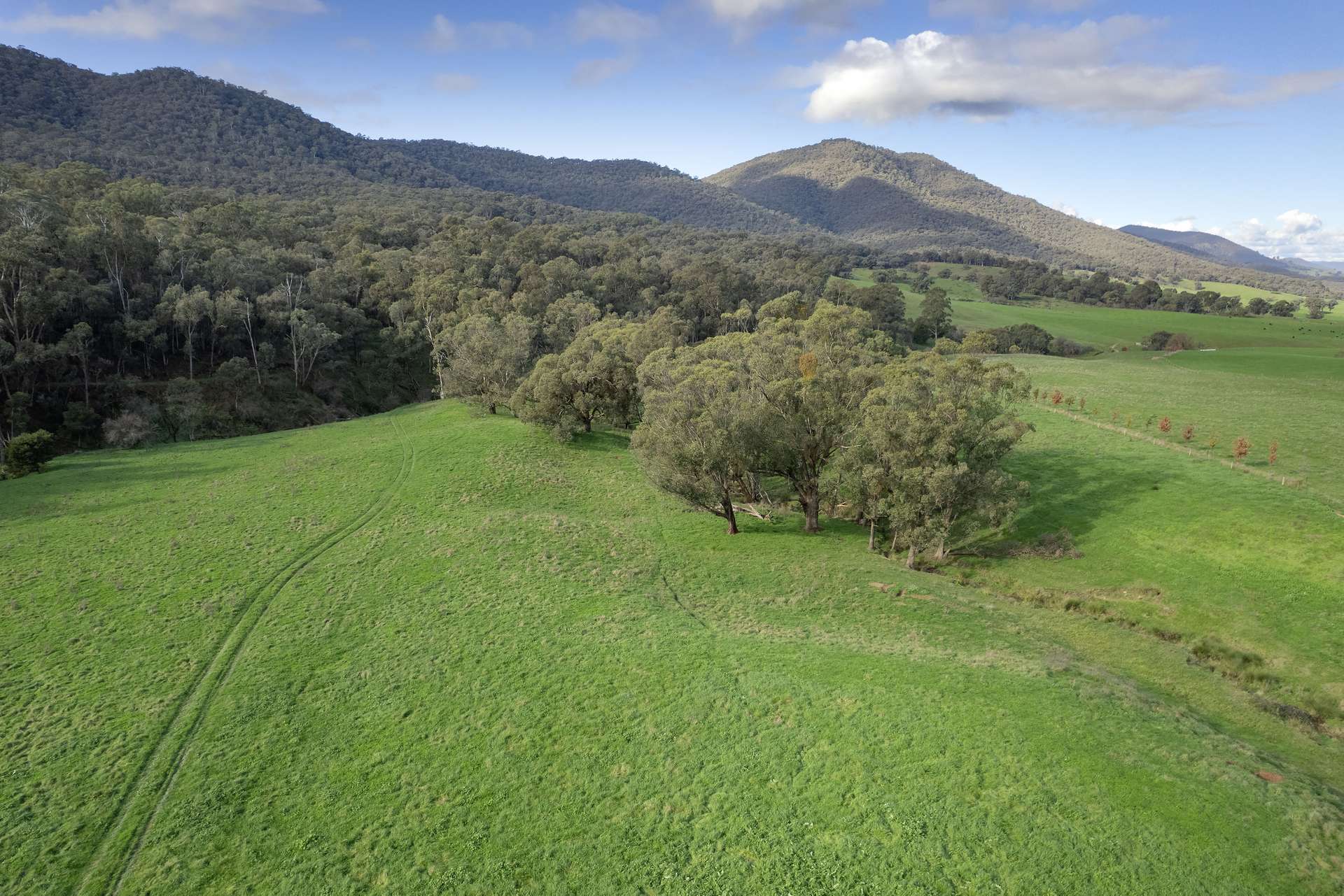 Lots 1, 5, 6, 7 Georges Creek Road, Georges Creek For Sale by Farmbuy.com - image 4