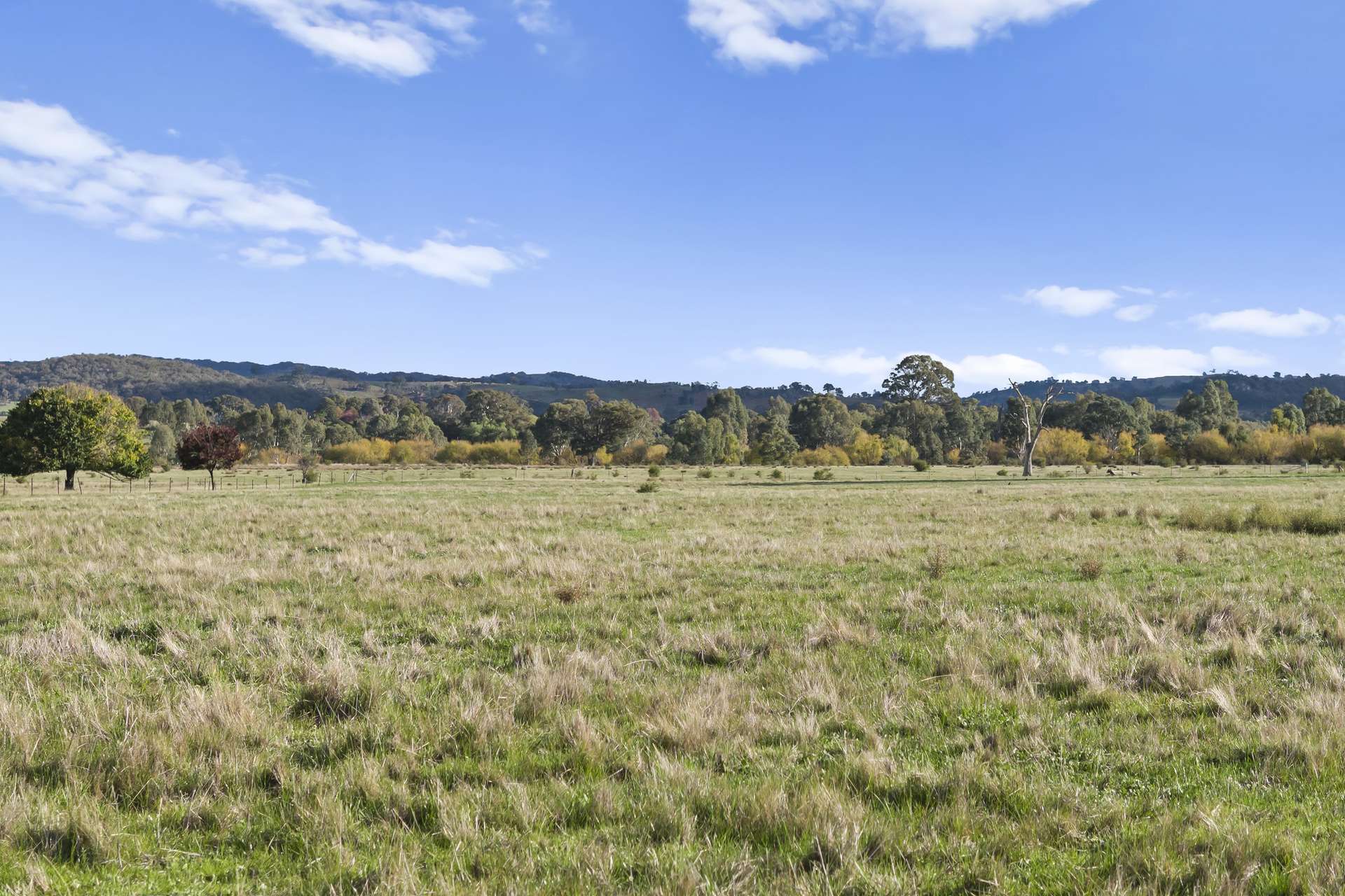 Lot A2 Euroa-Strathbogie Road, Euroa Auction by Farmbuy.com - image 16