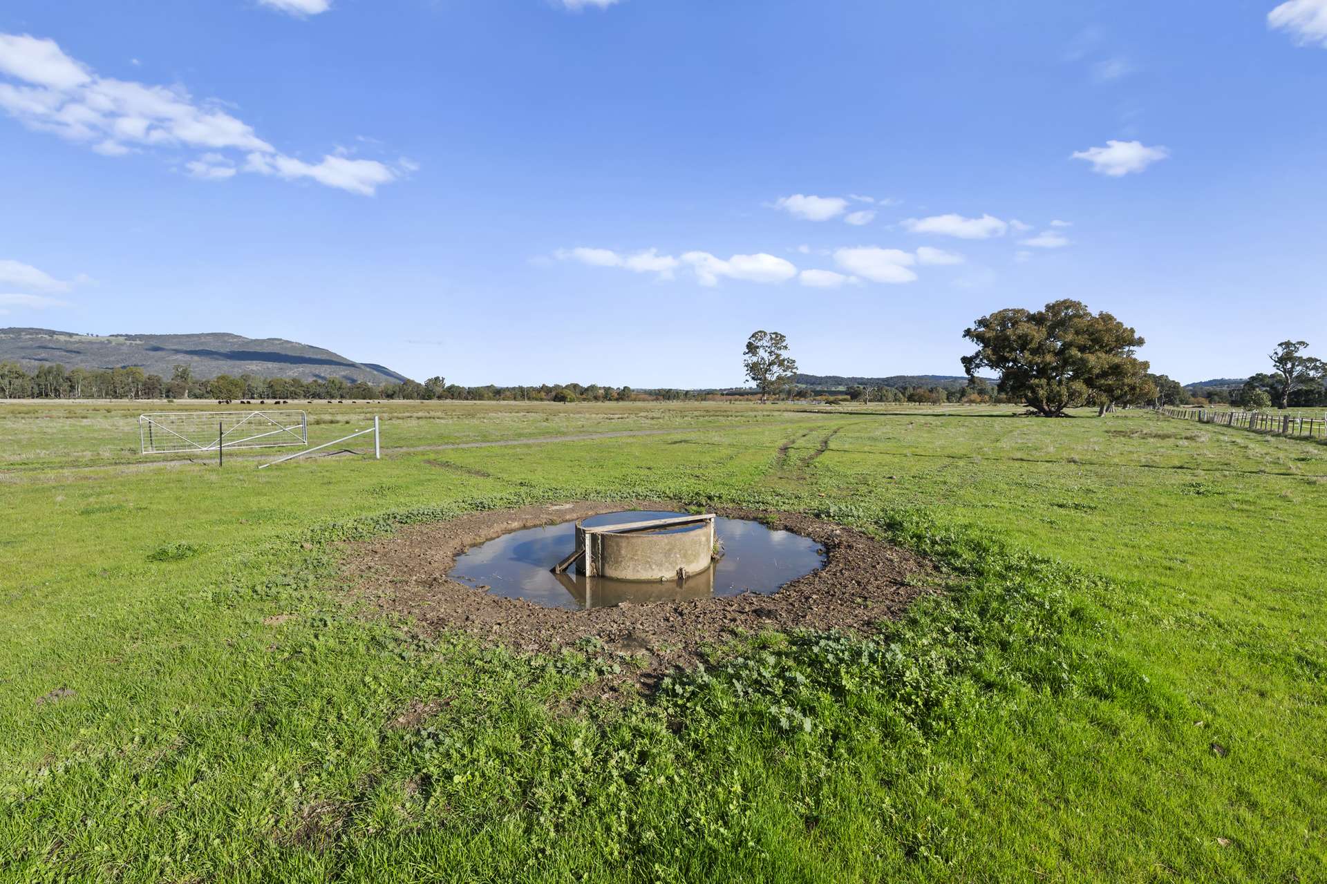 Lot A2 Euroa-Strathbogie Road, Euroa Auction by Farmbuy.com - image 8