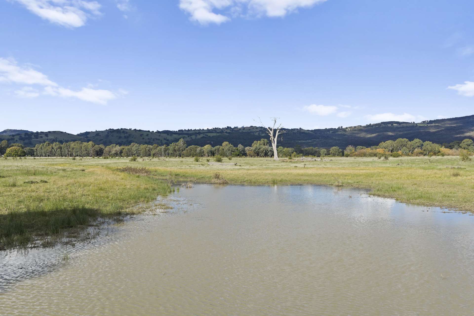 Lot A2 Euroa-Strathbogie Road, Euroa Auction by Farmbuy.com - image 13