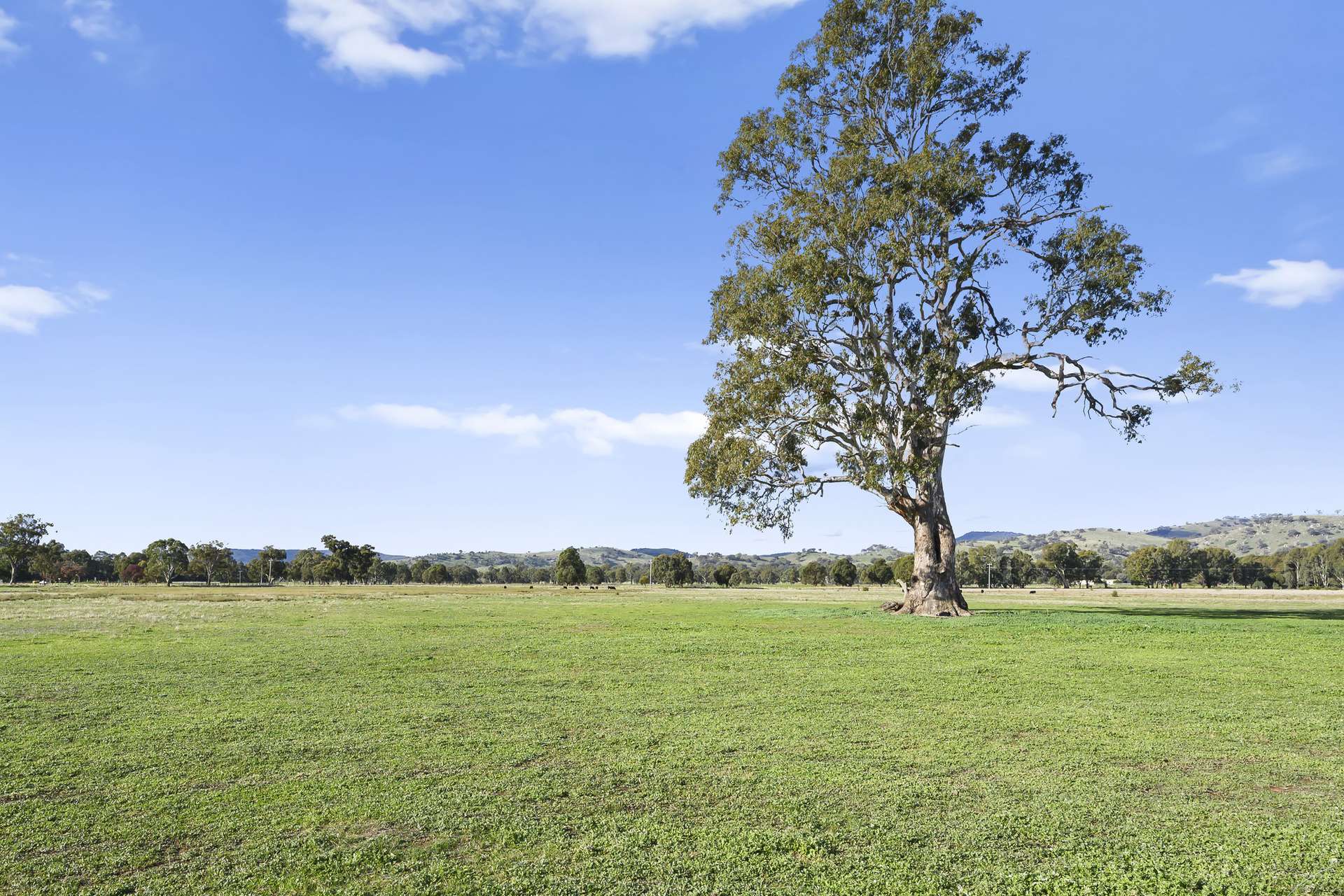 Lot A2 Euroa-Strathbogie Road, Euroa Auction by Farmbuy.com - image 15