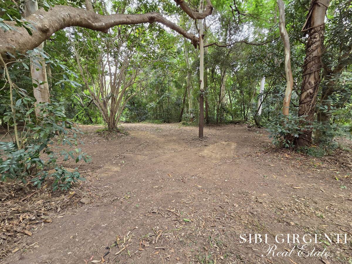 34 Malcolm Close, Mareeba For Sale by Farmbuy.com - image 20