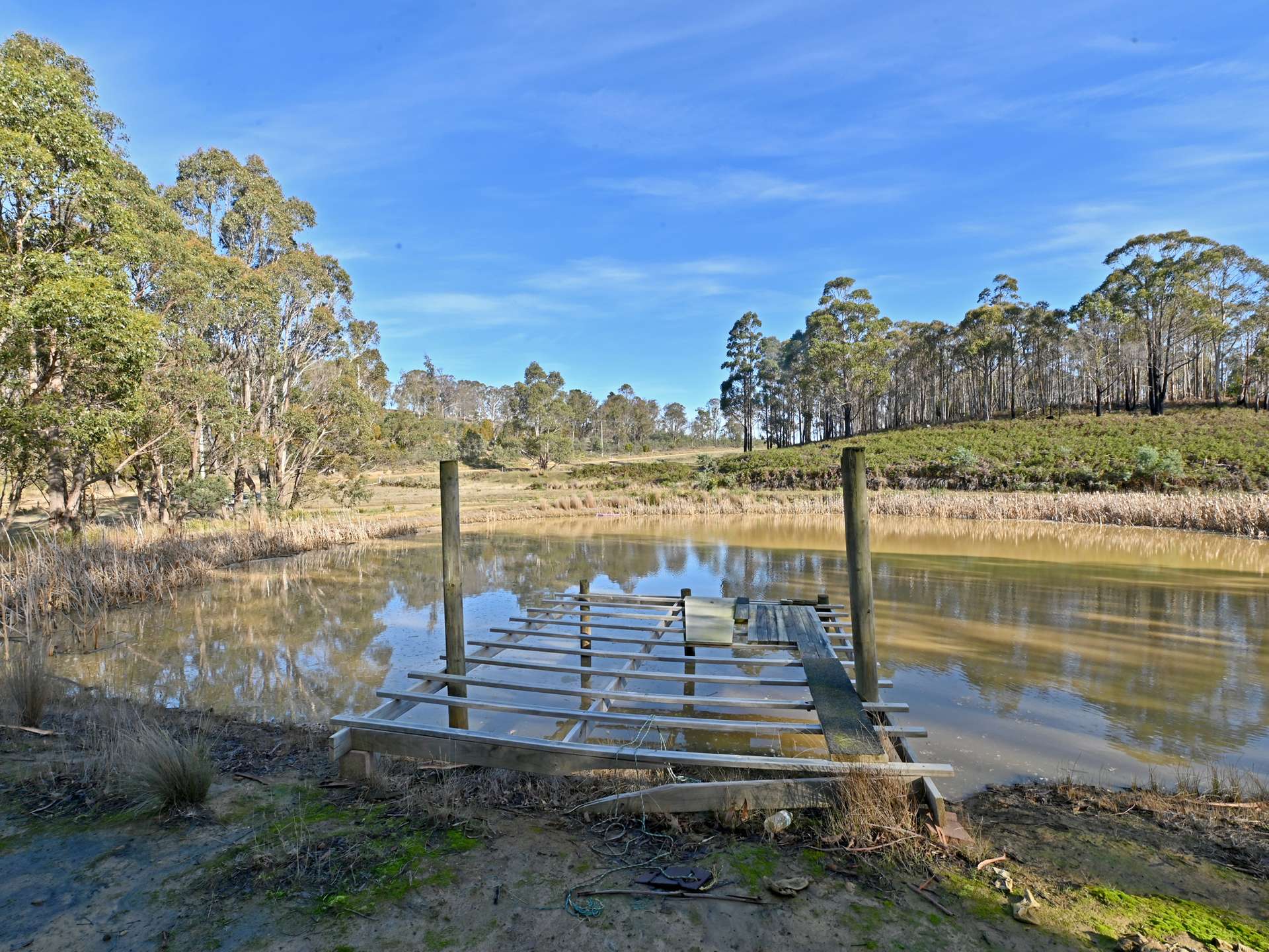 66 Kings Road, Bagdad For Sale by Farmbuy.com - image 10
