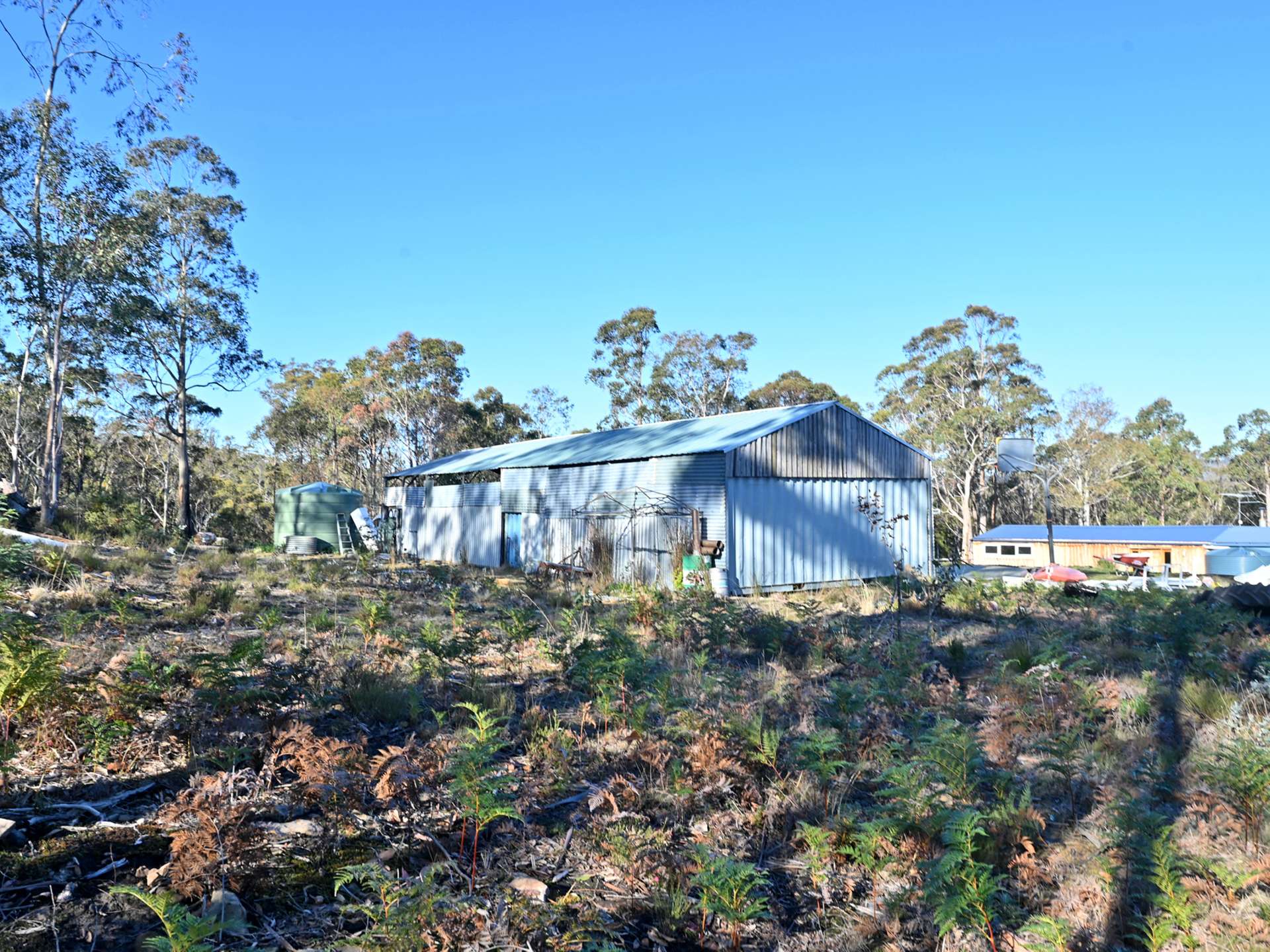 66 Kings Road, Bagdad For Sale by Farmbuy.com - image 20