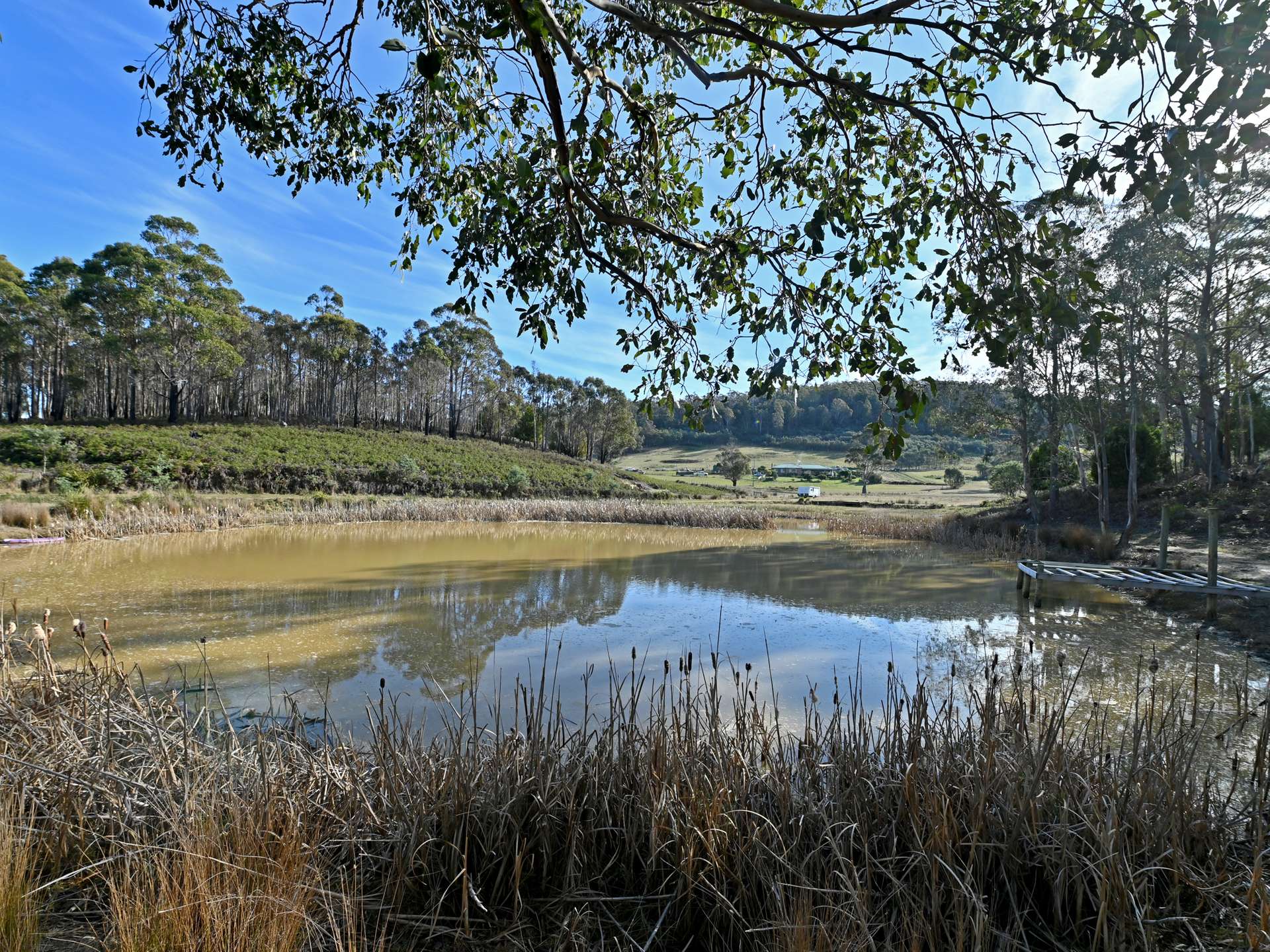 66 Kings Road, Bagdad For Sale by Farmbuy.com - image 9
