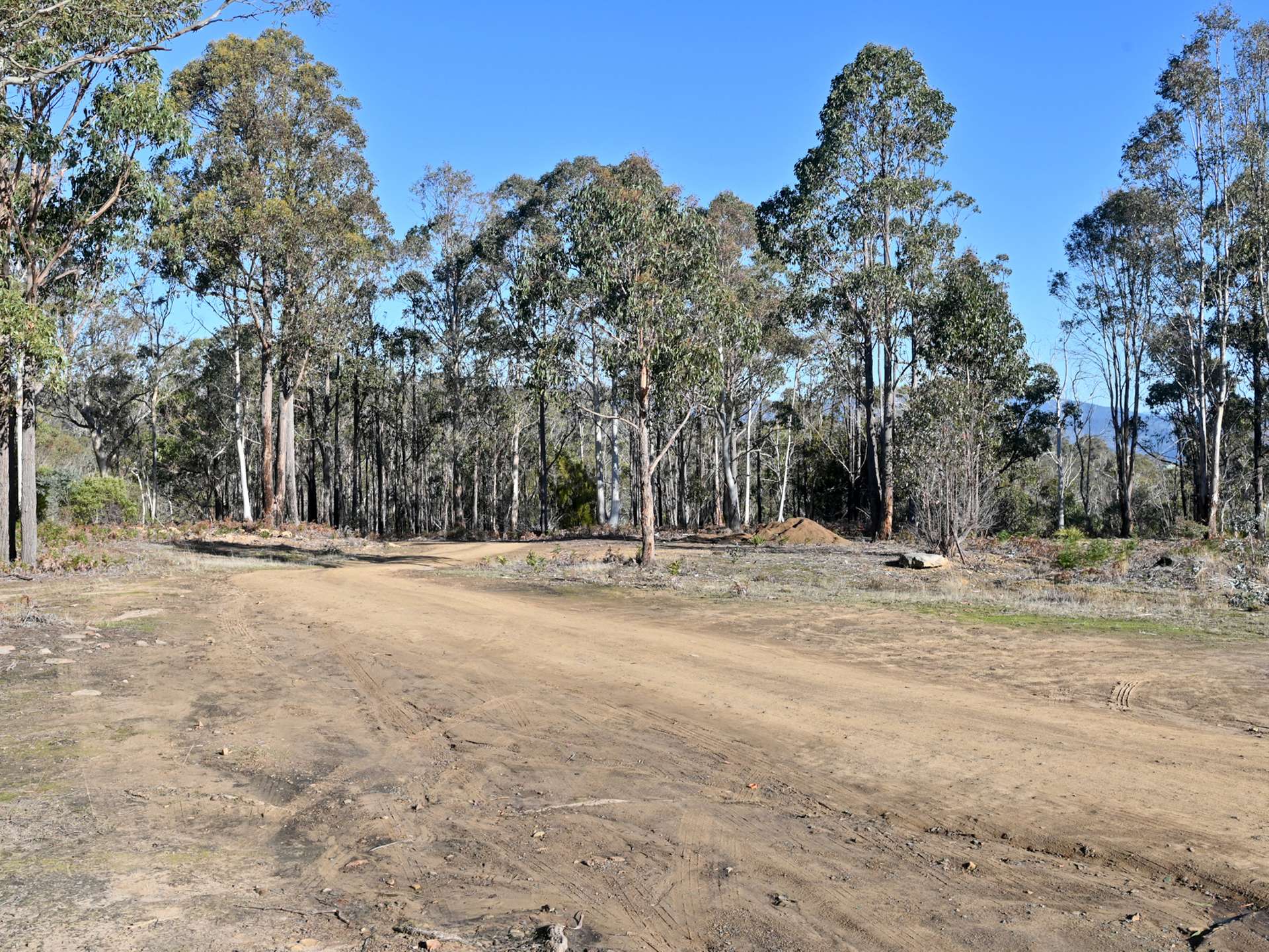 66 Kings Road, Bagdad For Sale by Farmbuy.com - image 14