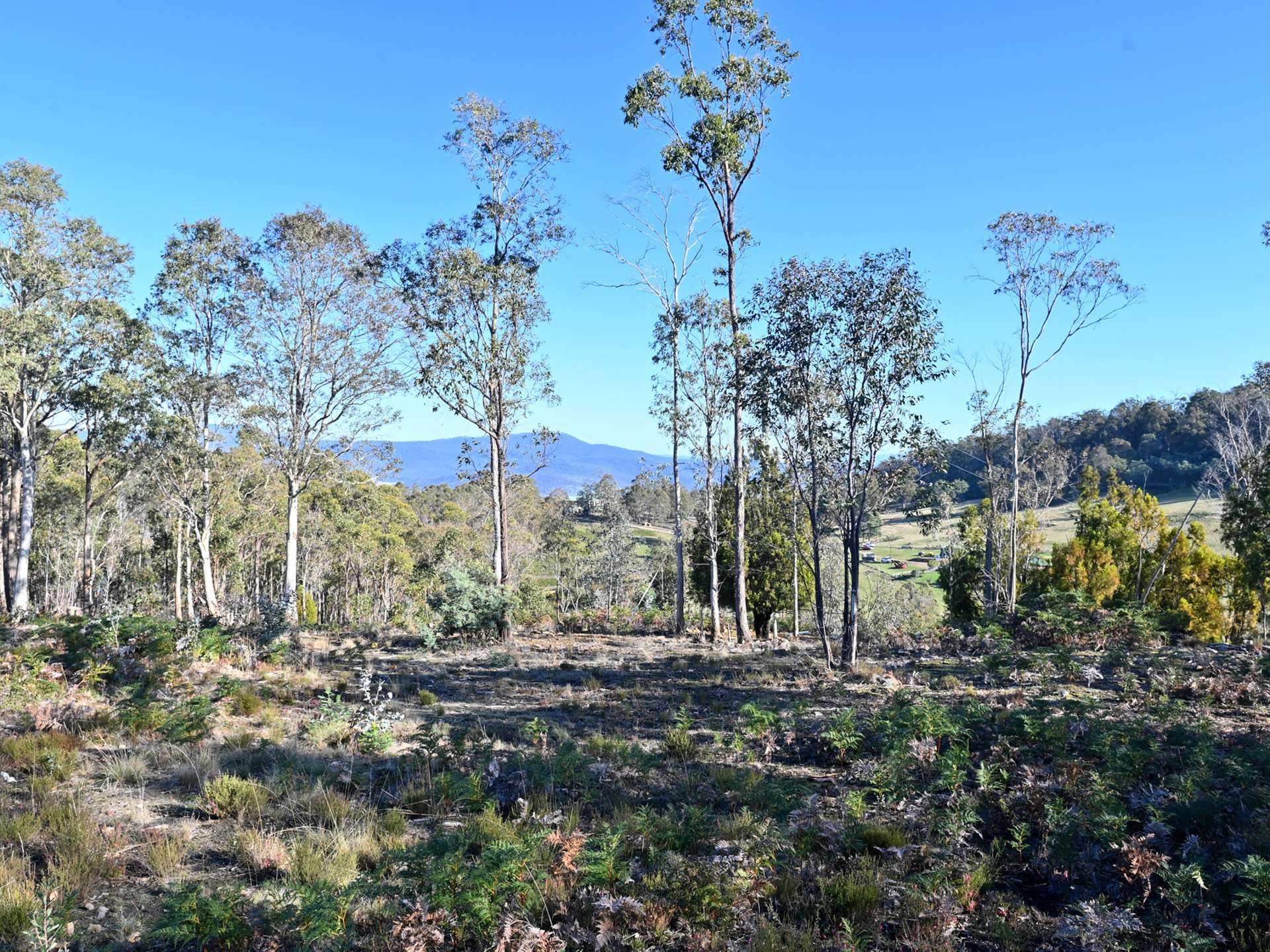 66 Kings Road, Bagdad For Sale by Farmbuy.com - image 13