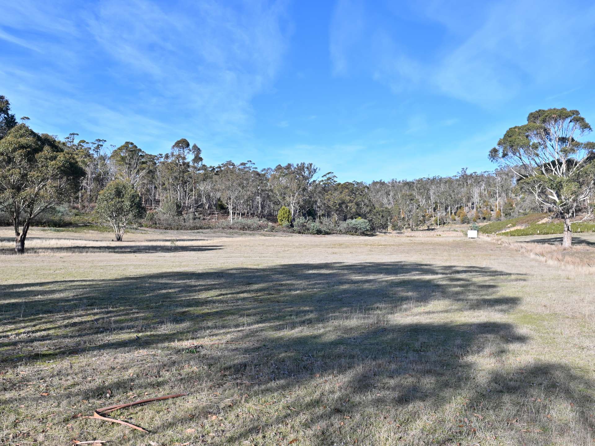 66 Kings Road, Bagdad For Sale by Farmbuy.com - image 6