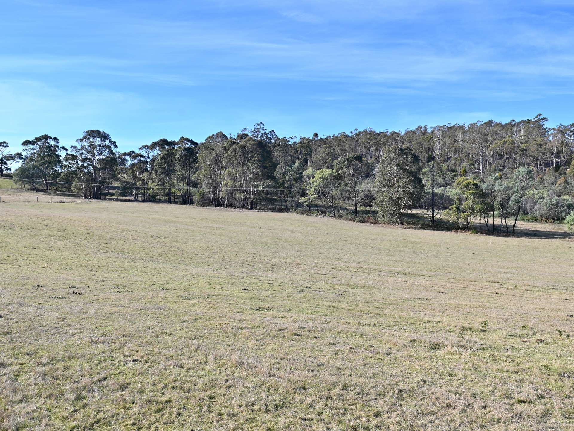 66 Kings Road, Bagdad For Sale by Farmbuy.com - image 3