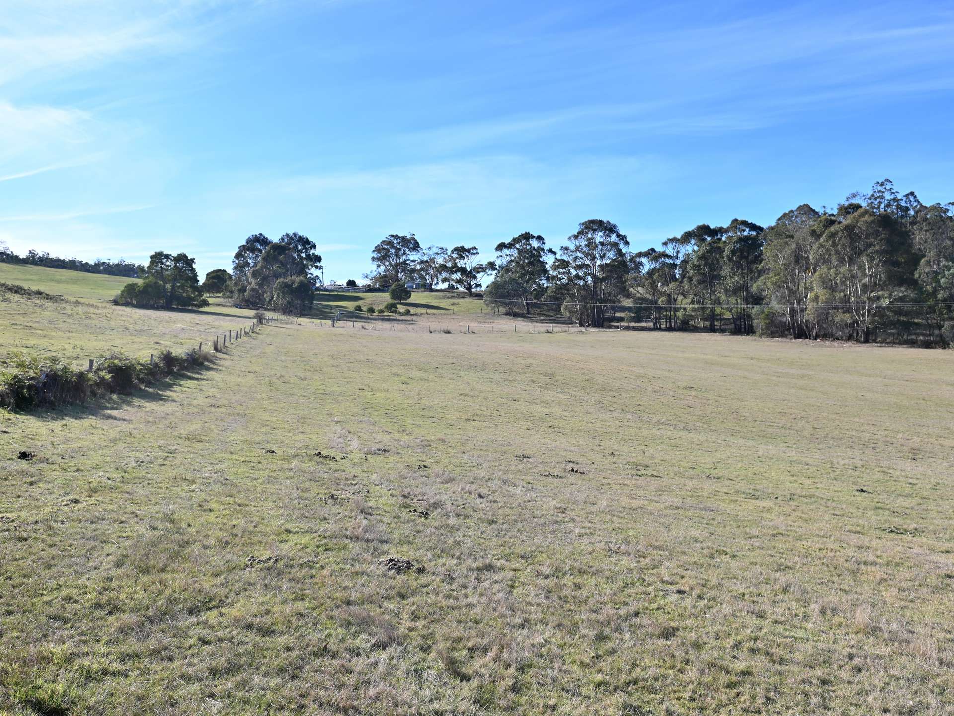 66 Kings Road, Bagdad For Sale by Farmbuy.com - image 5