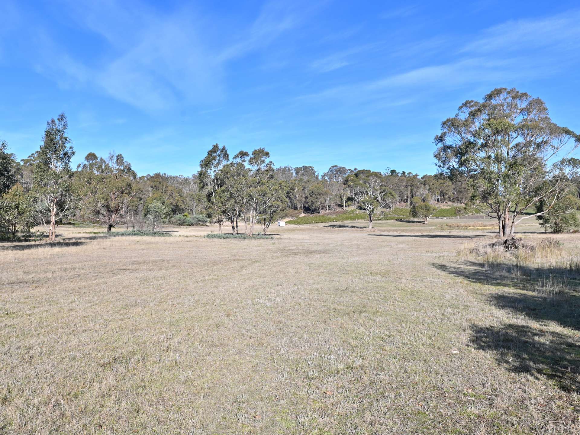 66 Kings Road, Bagdad For Sale by Farmbuy.com - image 8