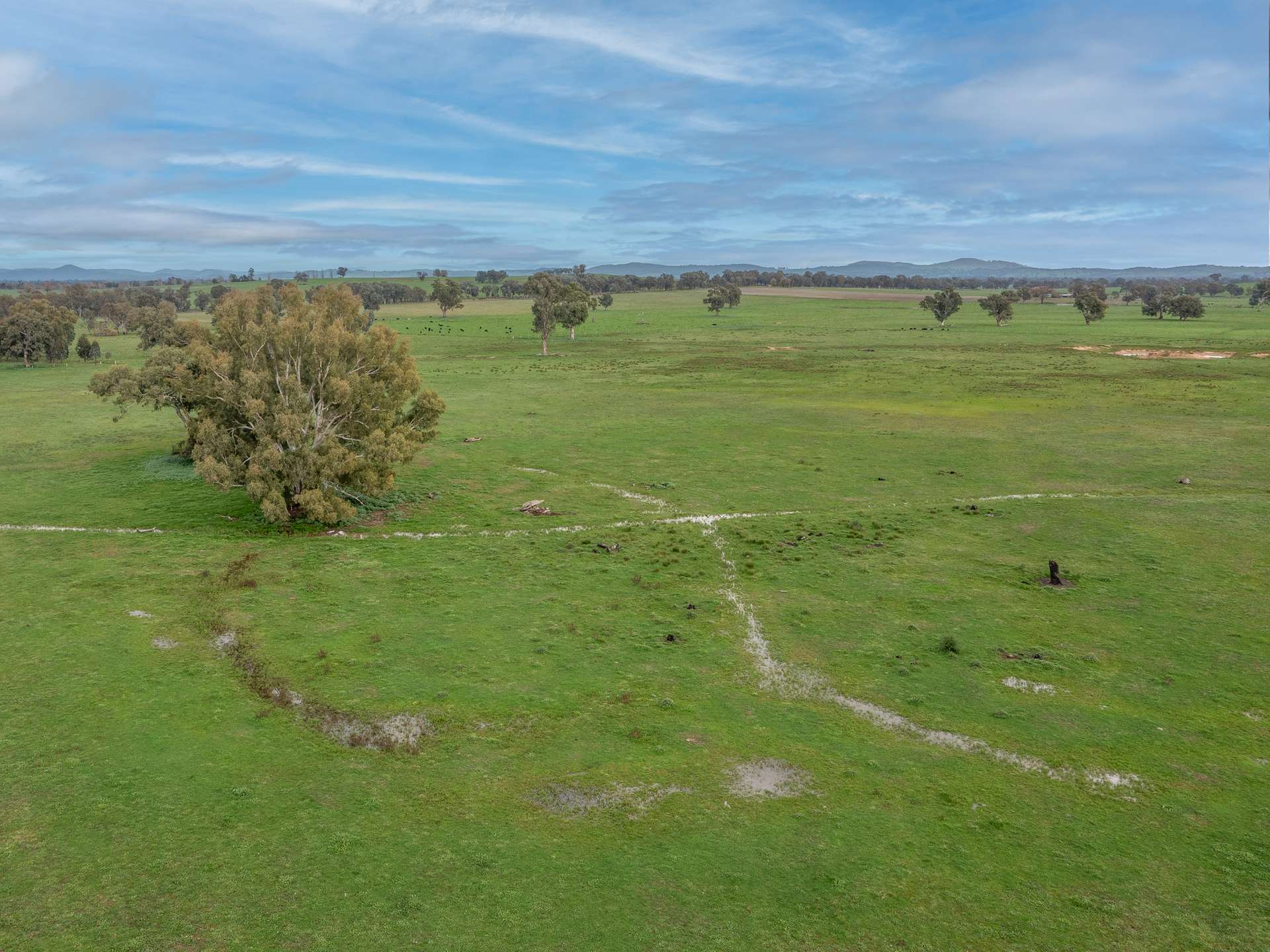 00 Simpson Lane, Greta For Sale by Farmbuy.com - image 6