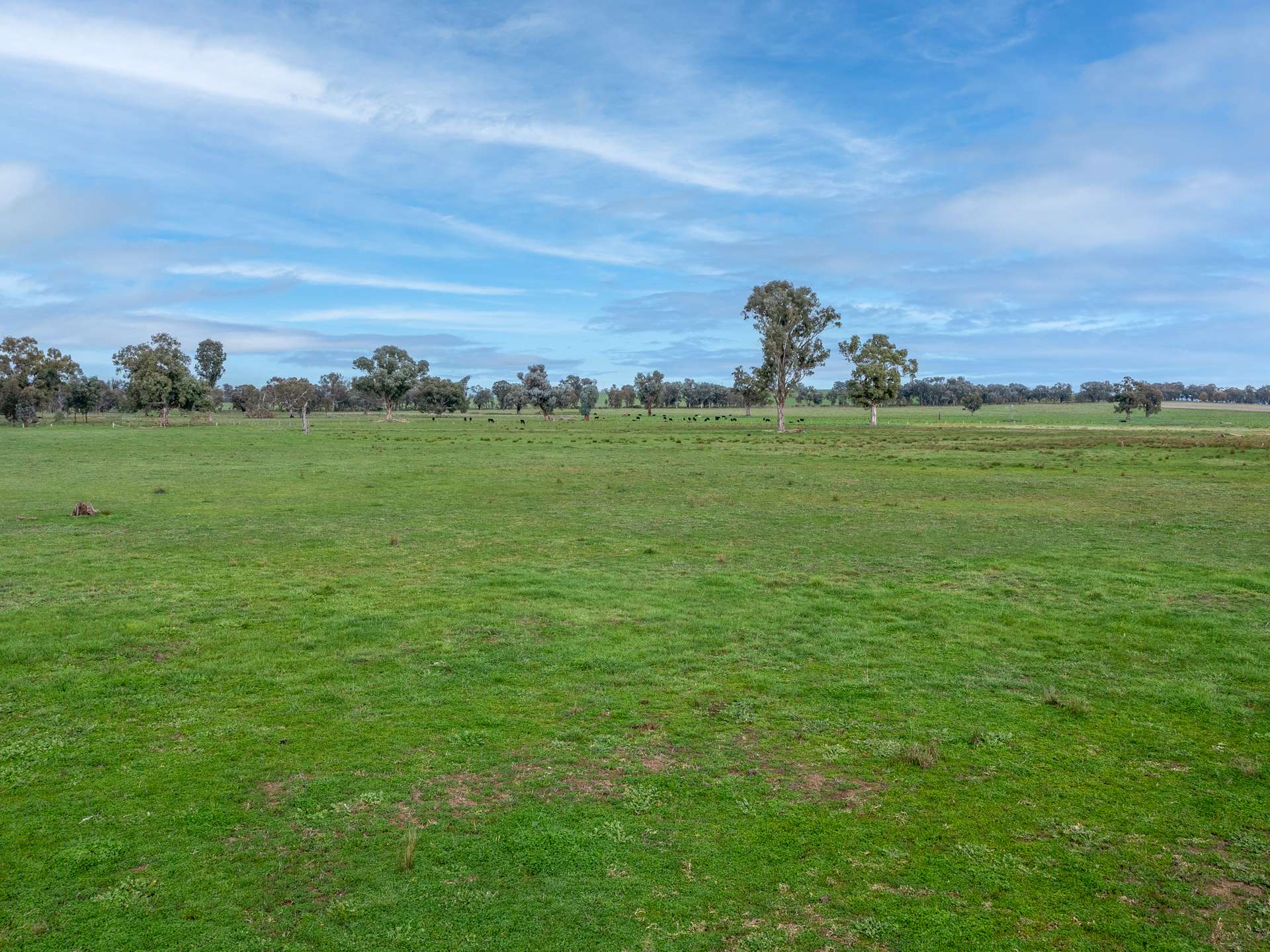 00 Simpson Lane, Greta For Sale by Farmbuy.com - image 7