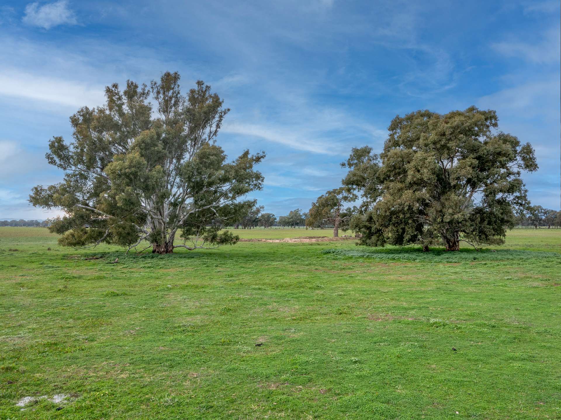 00 Simpson Lane, Greta For Sale by Farmbuy.com - image 4