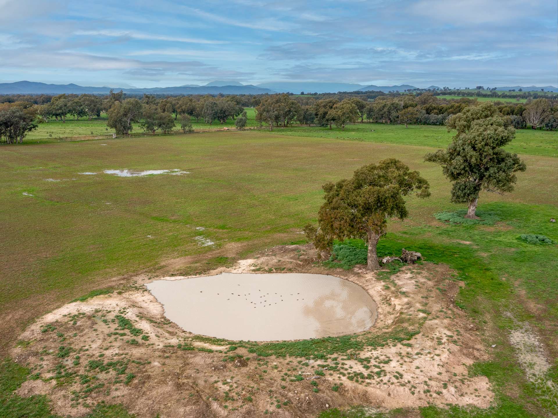 00 Simpson Lane, Greta For Sale by Farmbuy.com - image 5