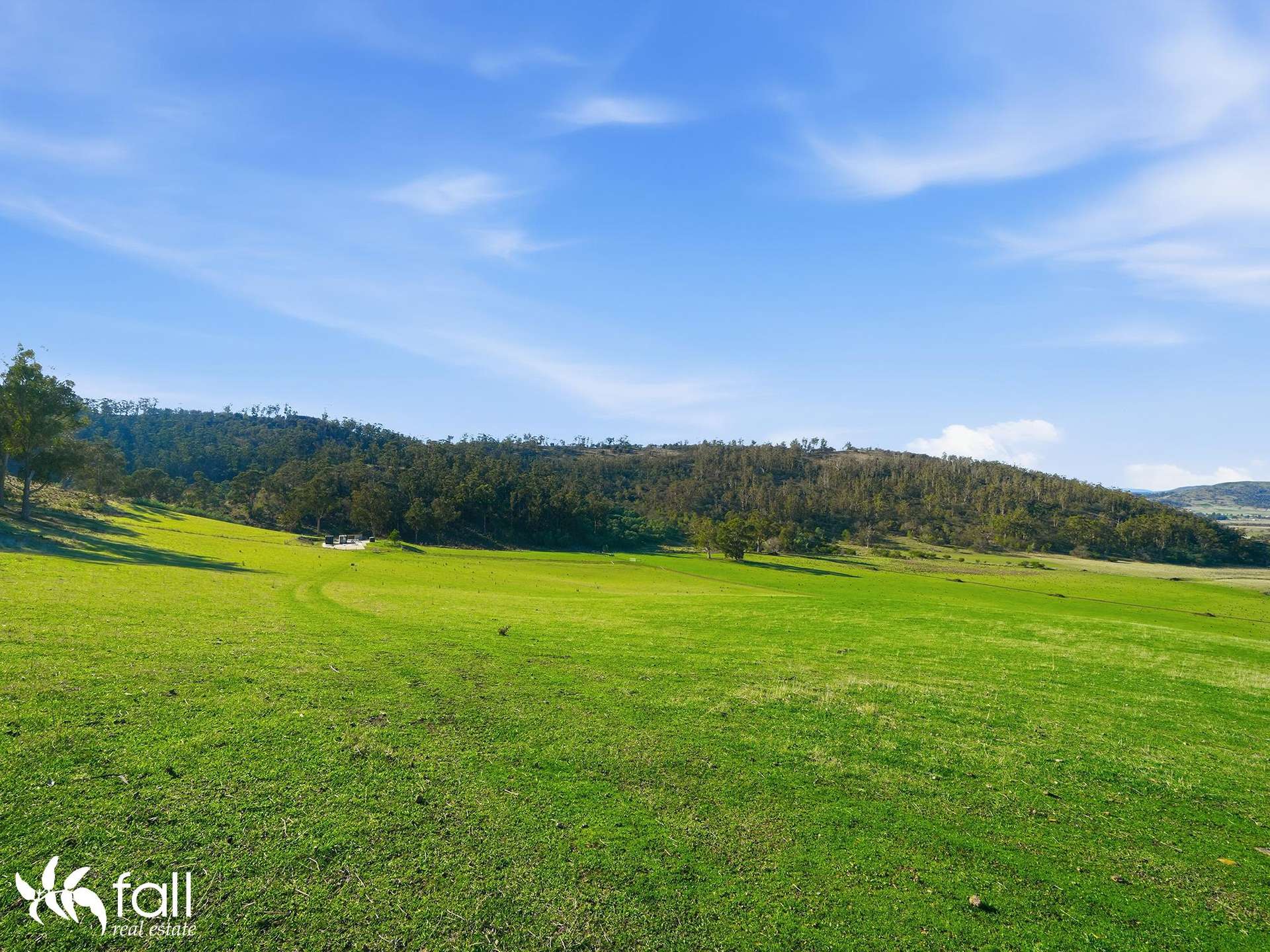 452 Back Tea Tree Road, Richmond For Sale by Farmbuy.com - image 13