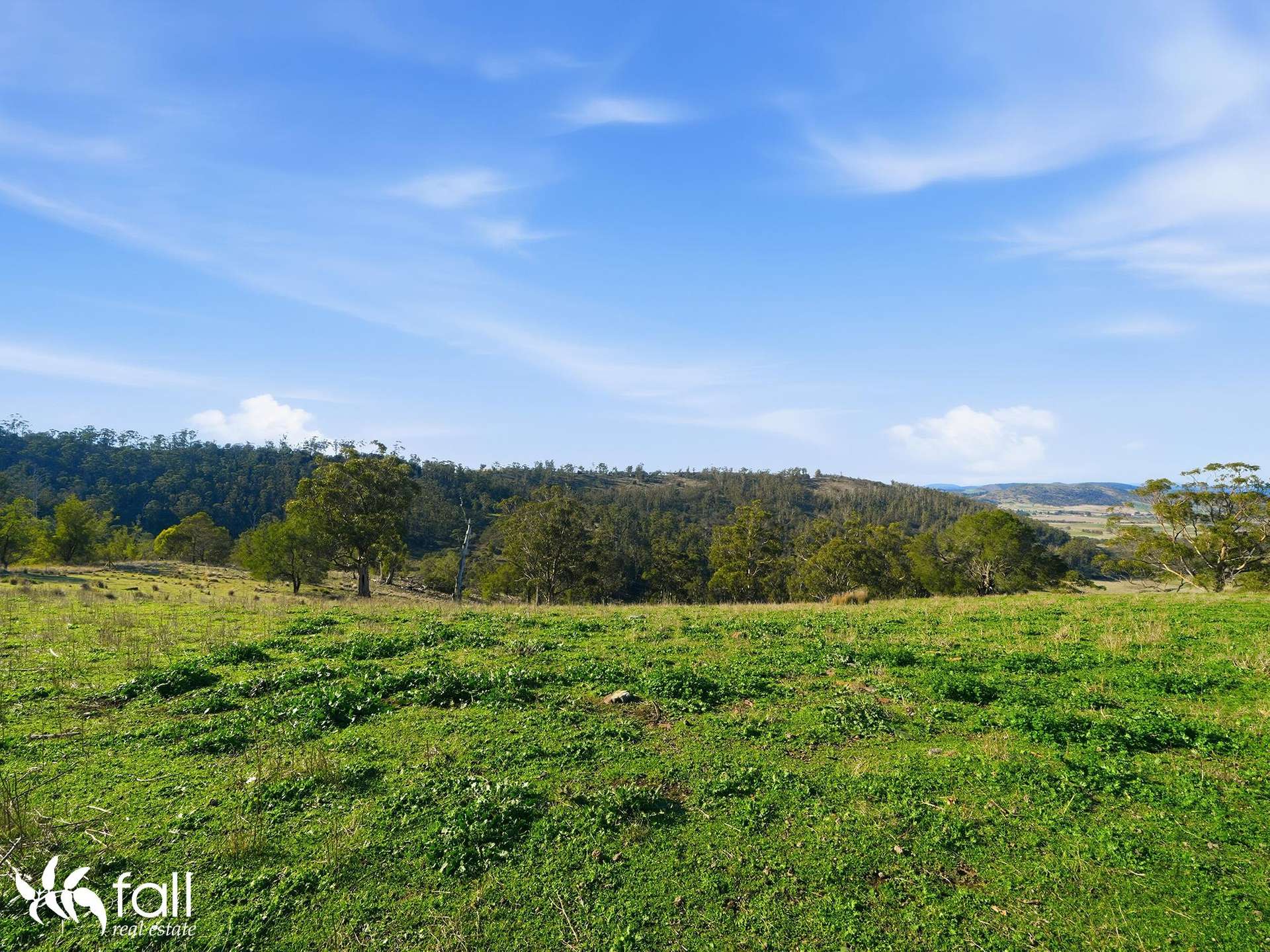 452 Back Tea Tree Road, Richmond For Sale by Farmbuy.com - image 11
