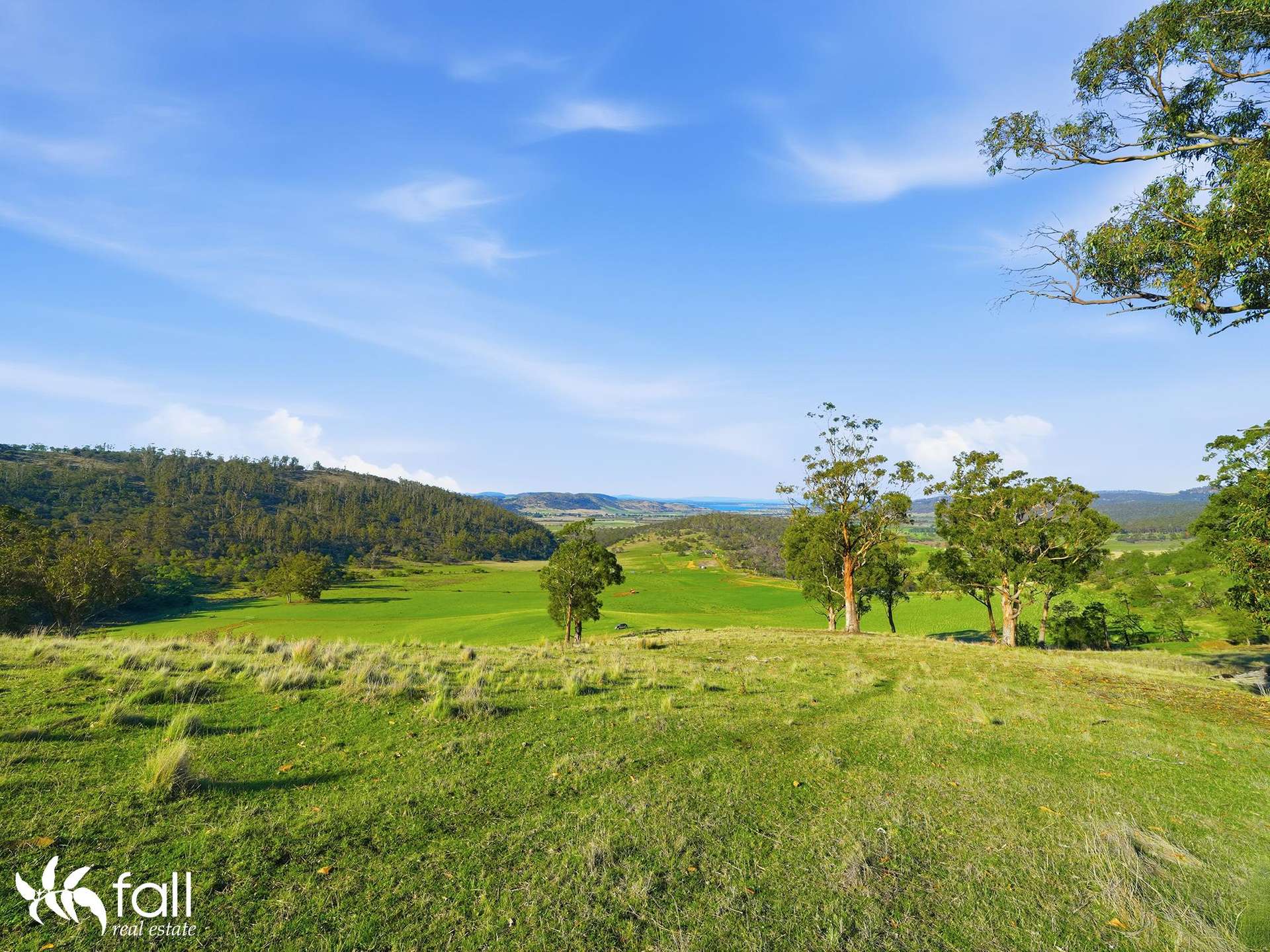 452 Back Tea Tree Road, Richmond For Sale by Farmbuy.com - image 12