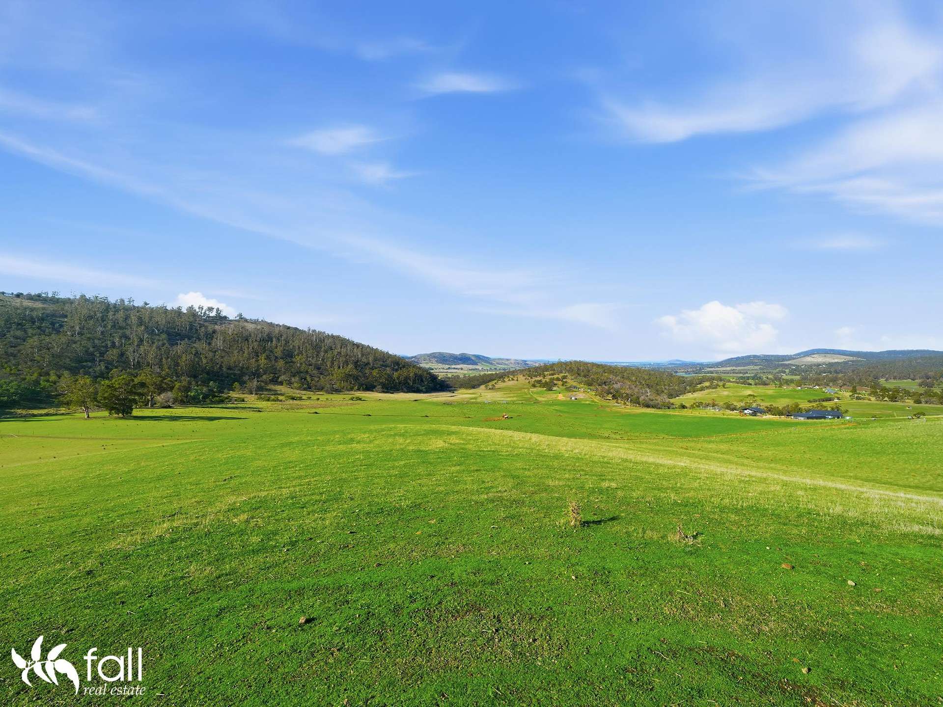 452 Back Tea Tree Road, Richmond For Sale by Farmbuy.com - image 4
