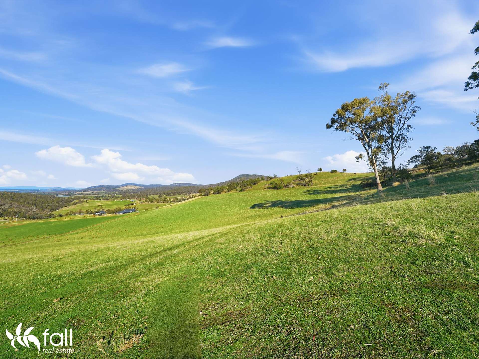 452 Back Tea Tree Road, Richmond For Sale by Farmbuy.com - image 5