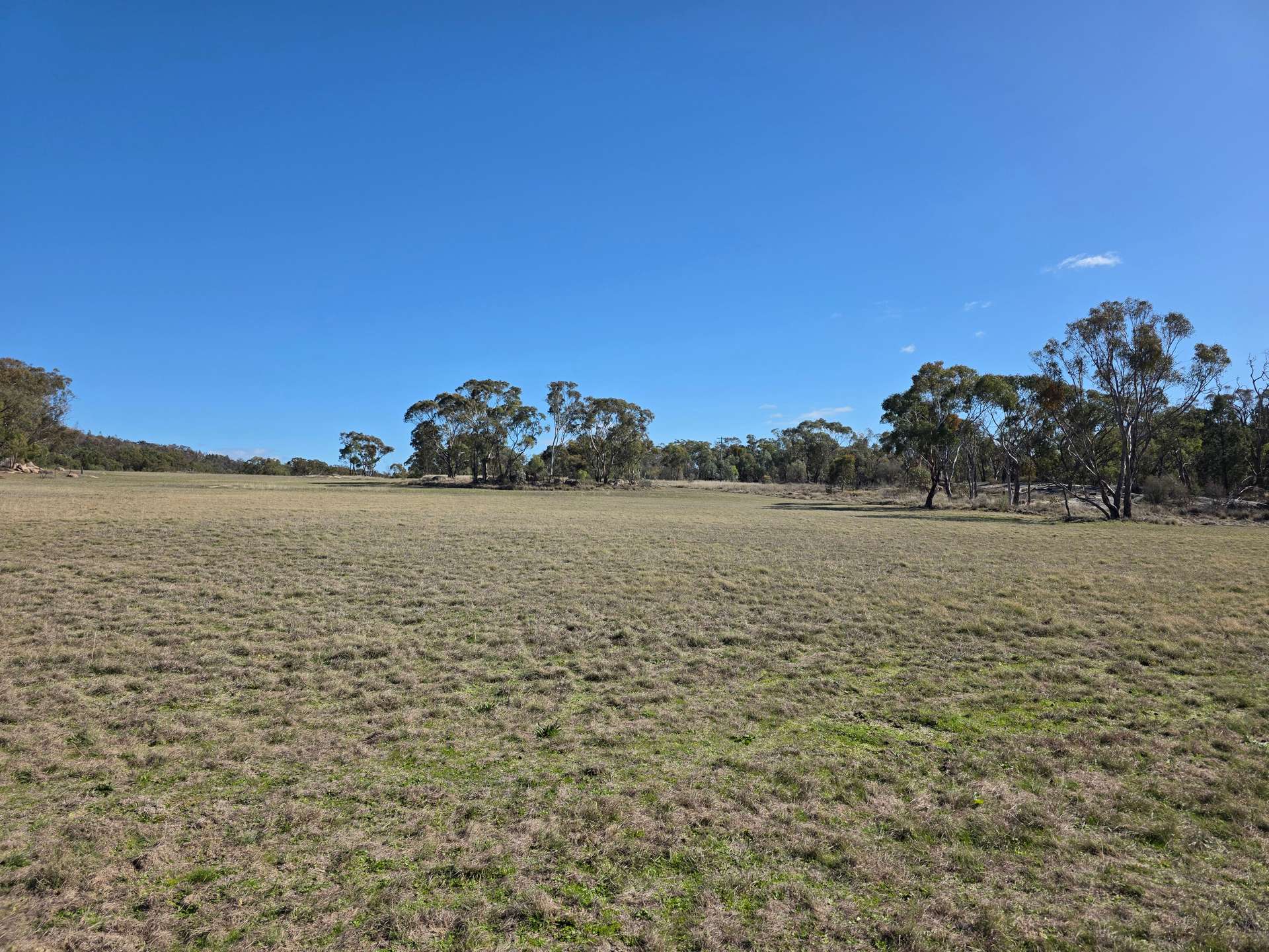 181 Bents Road, Ballandean For Sale by Farmbuy.com - image 2