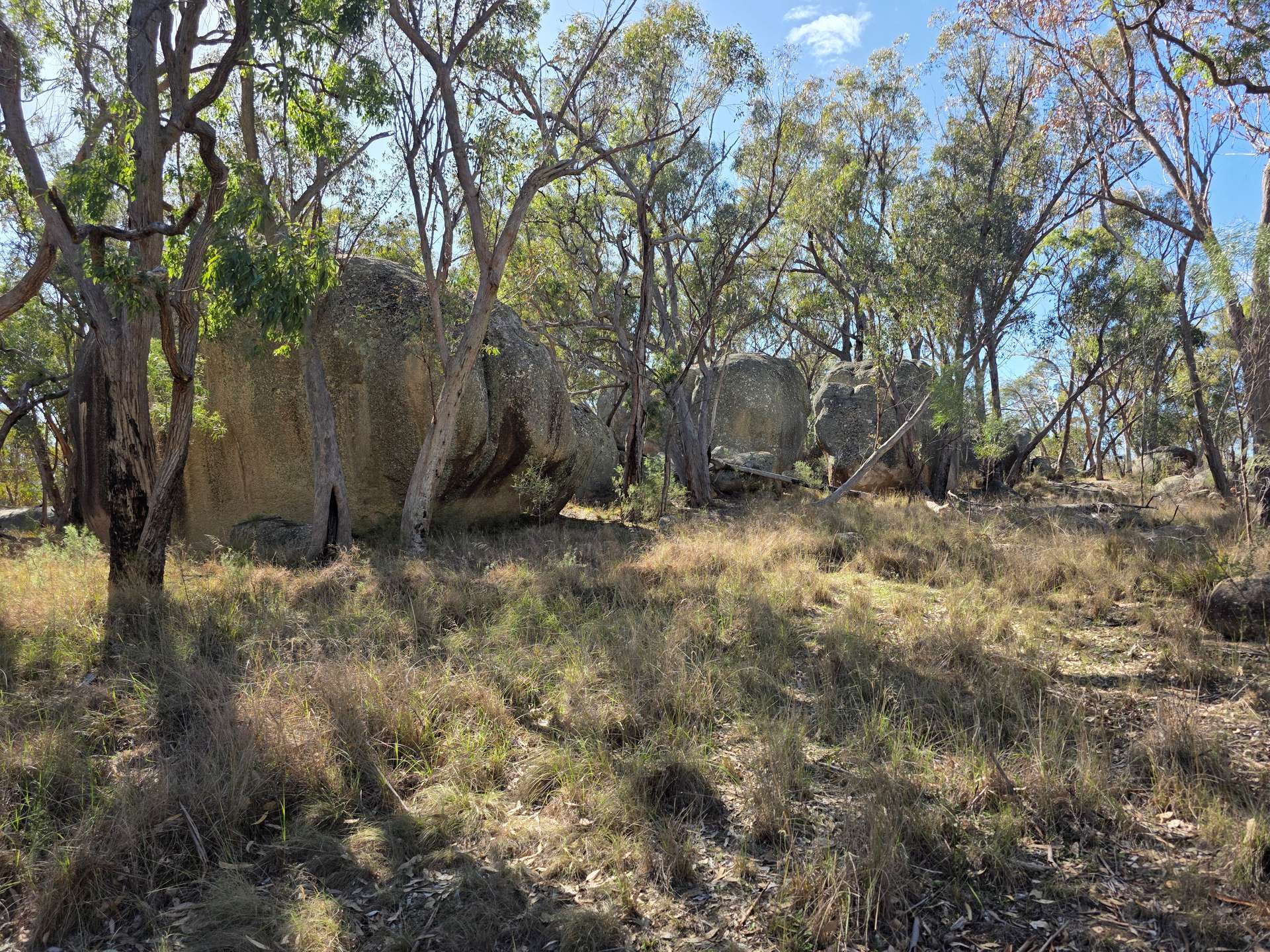181 Bents Road, Ballandean For Sale by Farmbuy.com - image 7