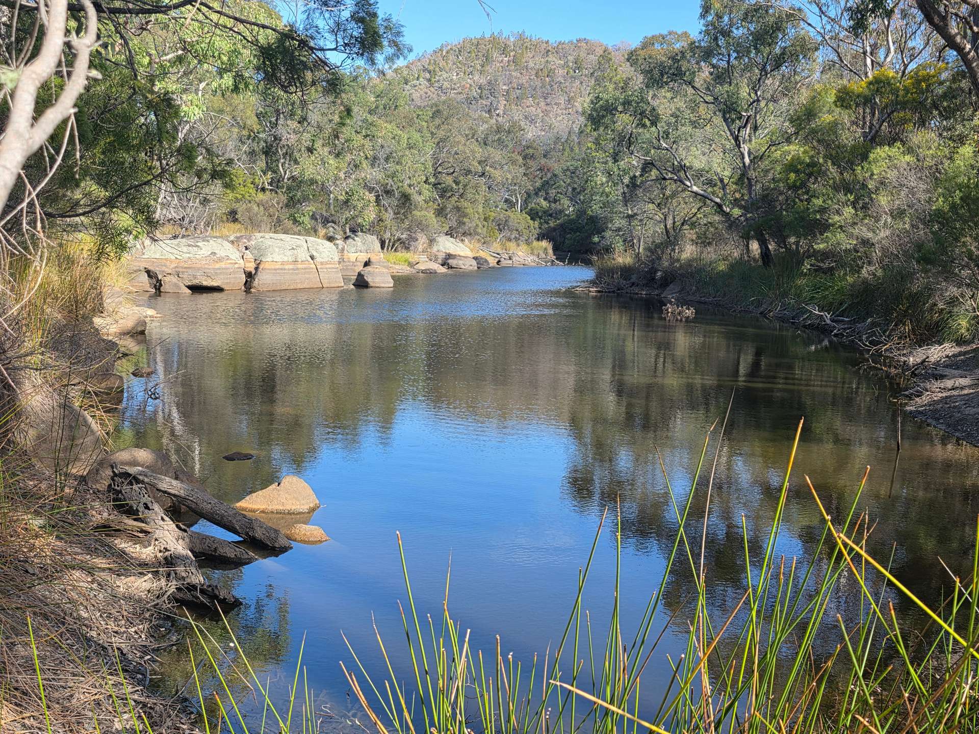 181 Bents Road, Ballandean For Sale by Farmbuy.com - image 1