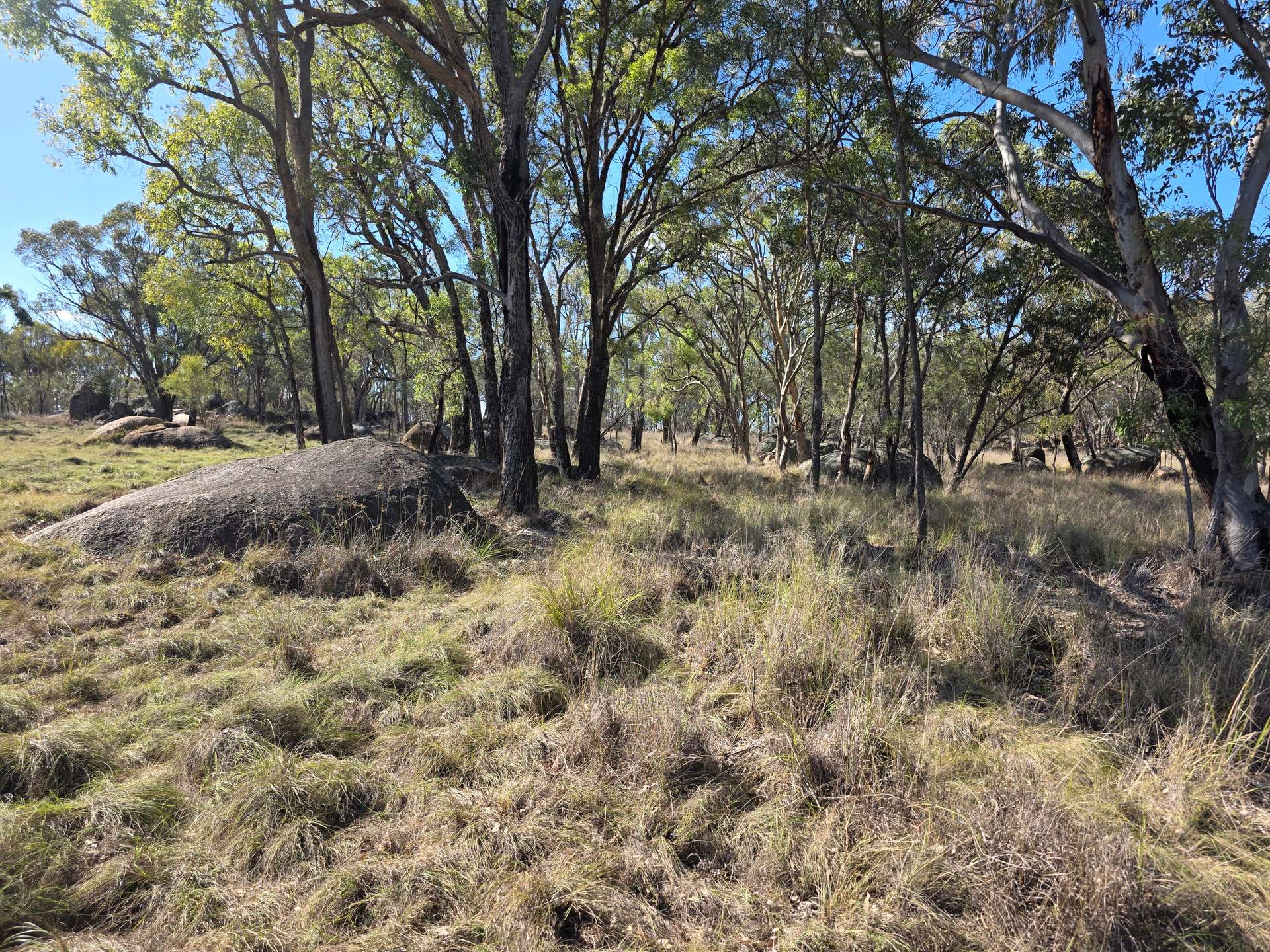 181 Bents Road, Ballandean For Sale by Farmbuy.com - image 9
