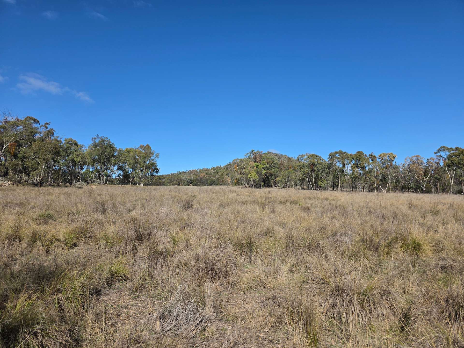 181 Bents Road, Ballandean For Sale by Farmbuy.com - image 11