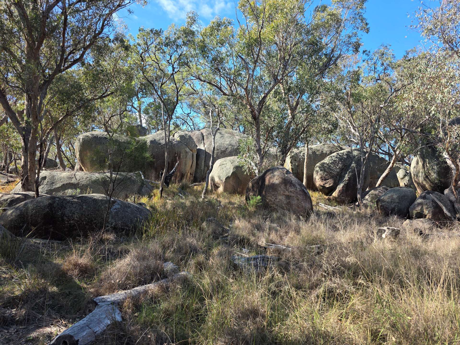 181 Bents Road, Ballandean For Sale by Farmbuy.com - image 8